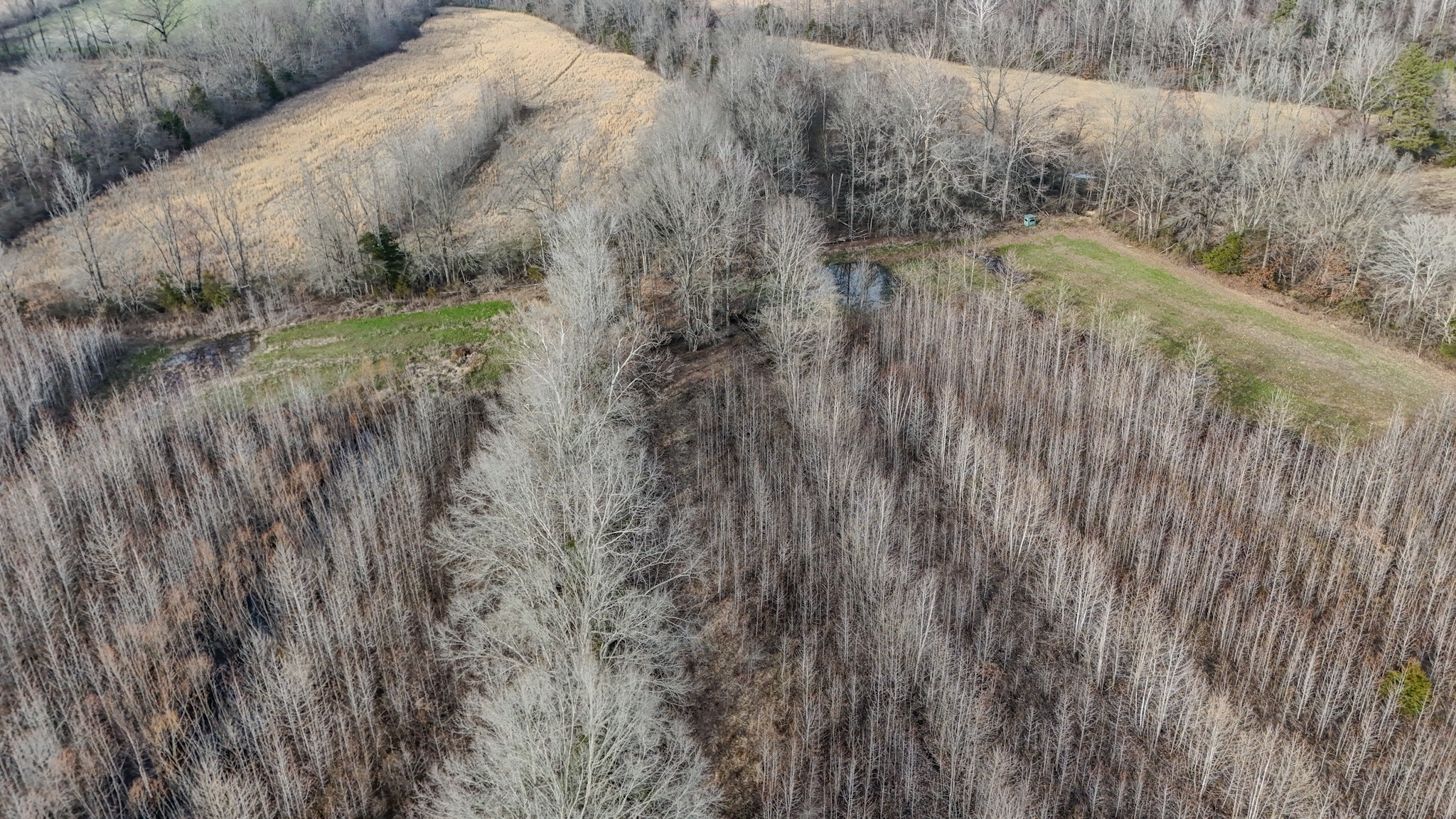 835 Mt Zion Road Scotts Hill, TN 38374 - Photo 44 of 76 a view of a yard