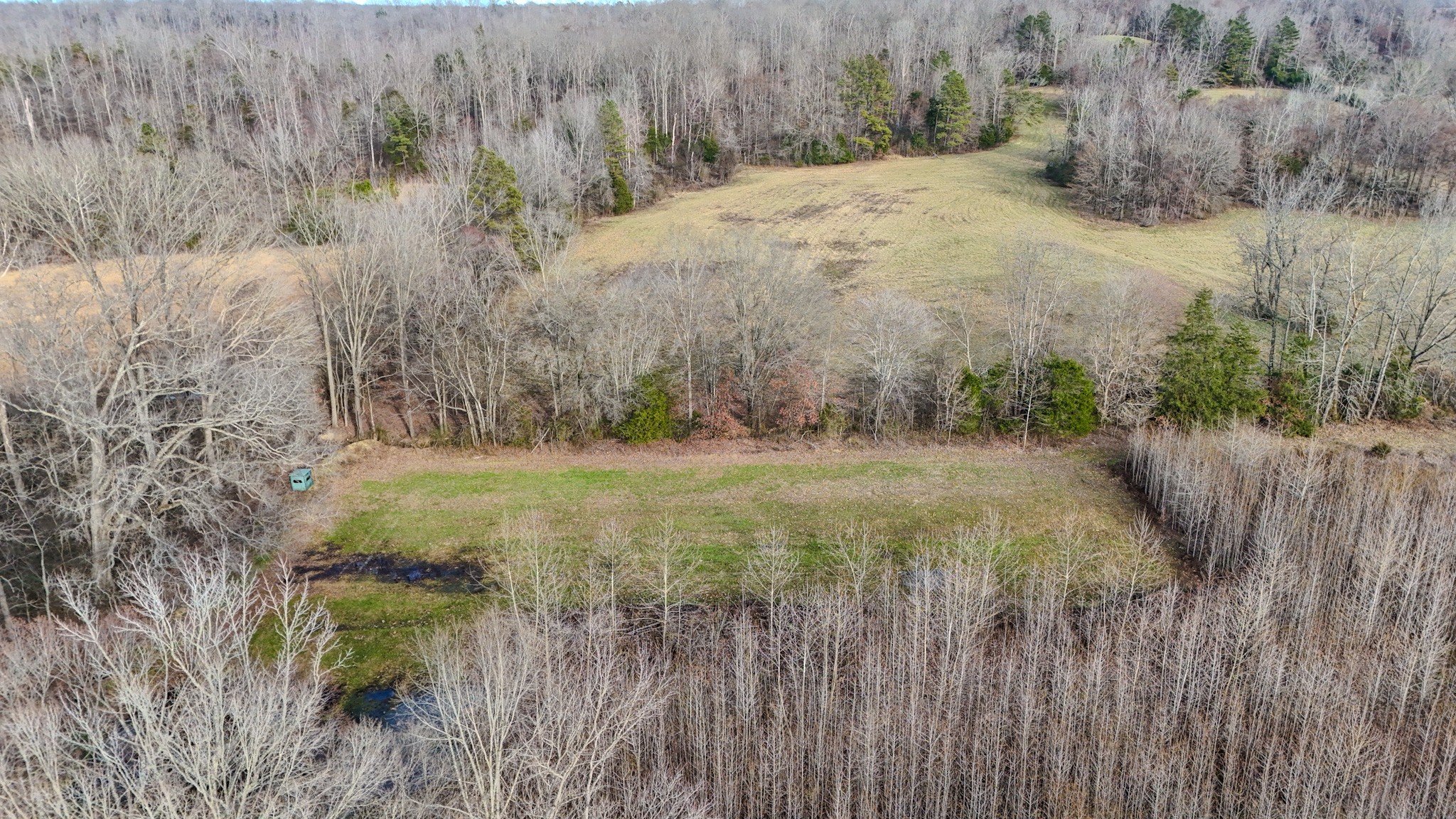 835 Mt Zion Road Scotts Hill, TN 38374 - Photo 45 of 76