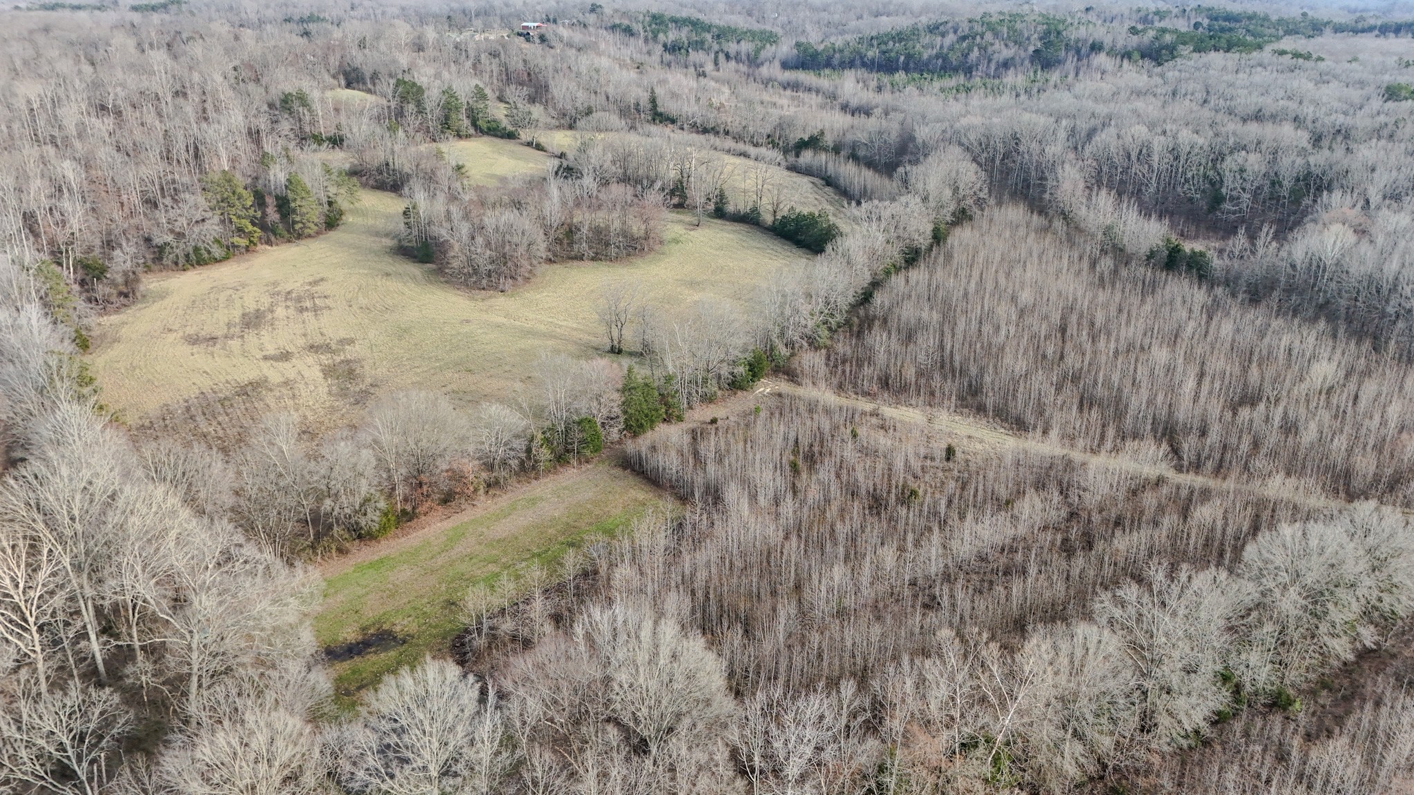 835 Mt Zion Road Scotts Hill, TN 38374 - Photo 46 of 76 a view of a dry field with trees