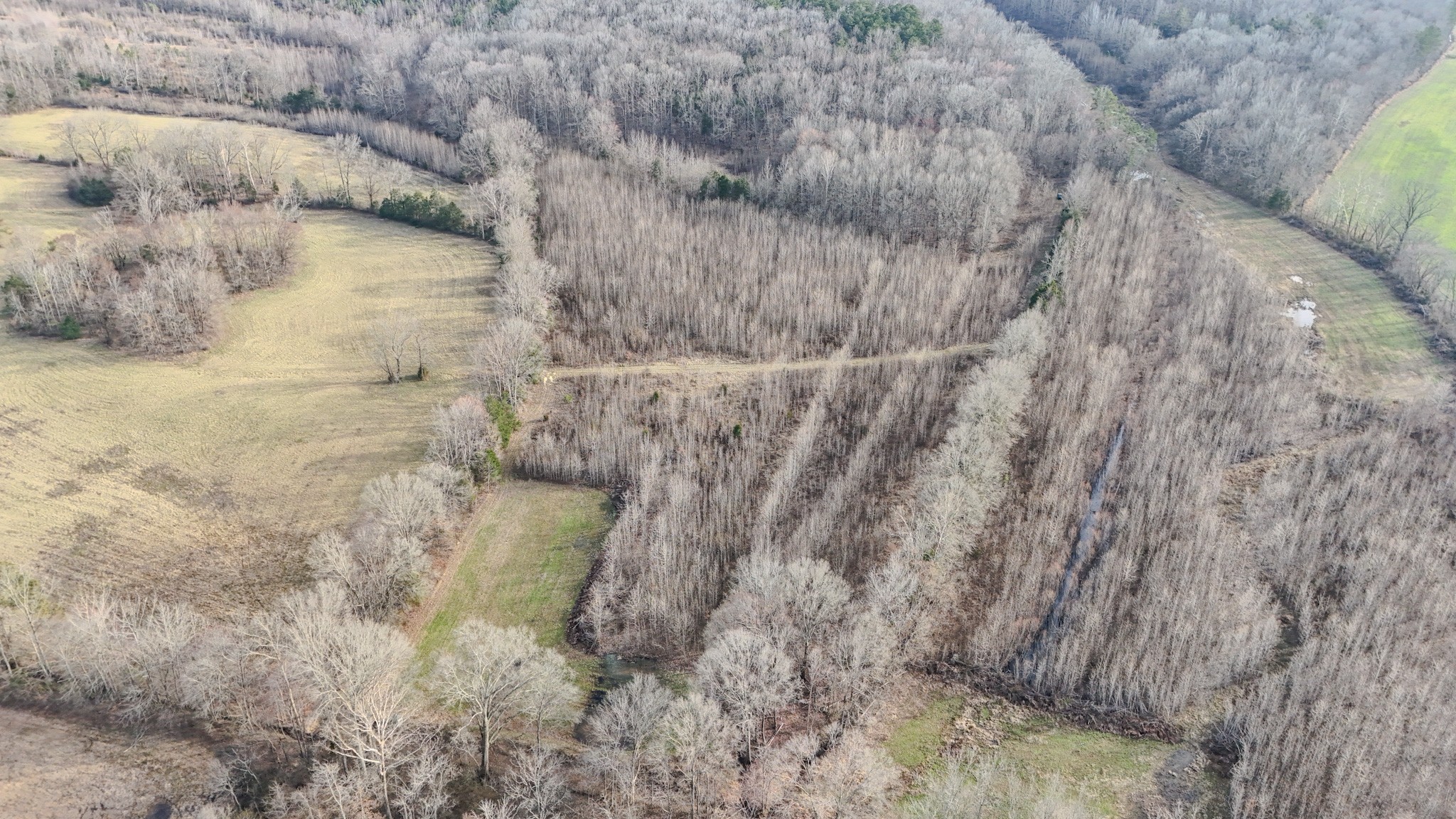 835 Mt Zion Road Scotts Hill, TN 38374 - Photo 47 of 76