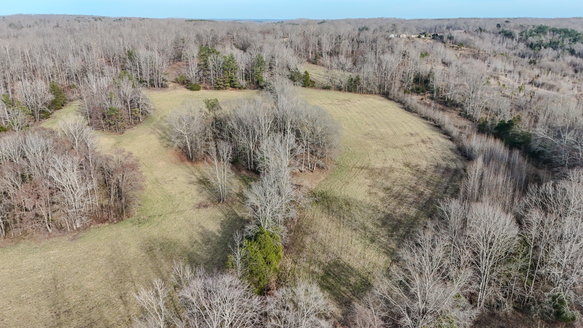 835 Mt Zion Road Scotts Hill, TN 38374 - Photo 48 of 76 a view of a dry yard