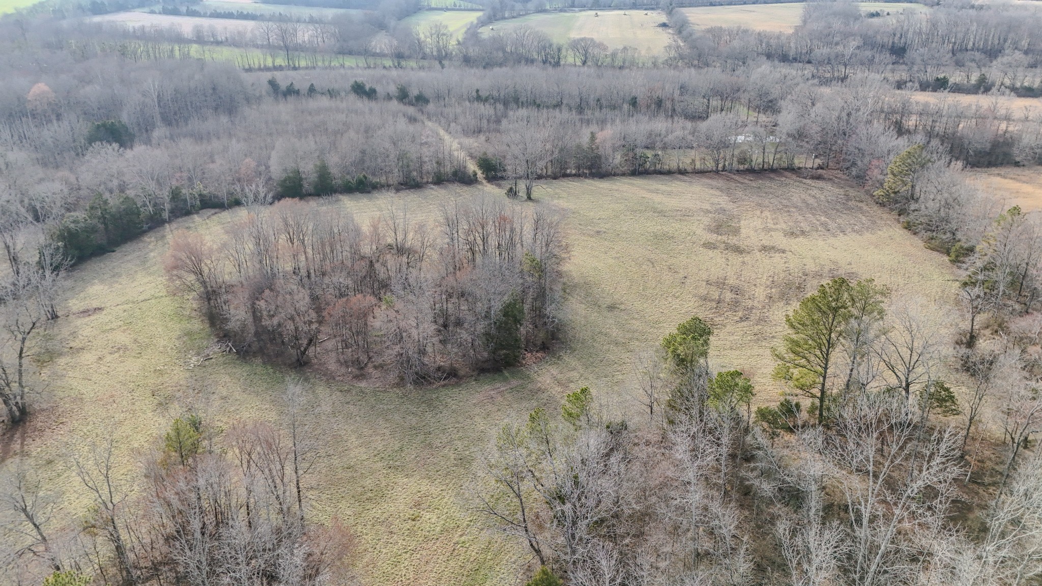 835 Mt Zion Road Scotts Hill, TN 38374 - Photo 49 of 76