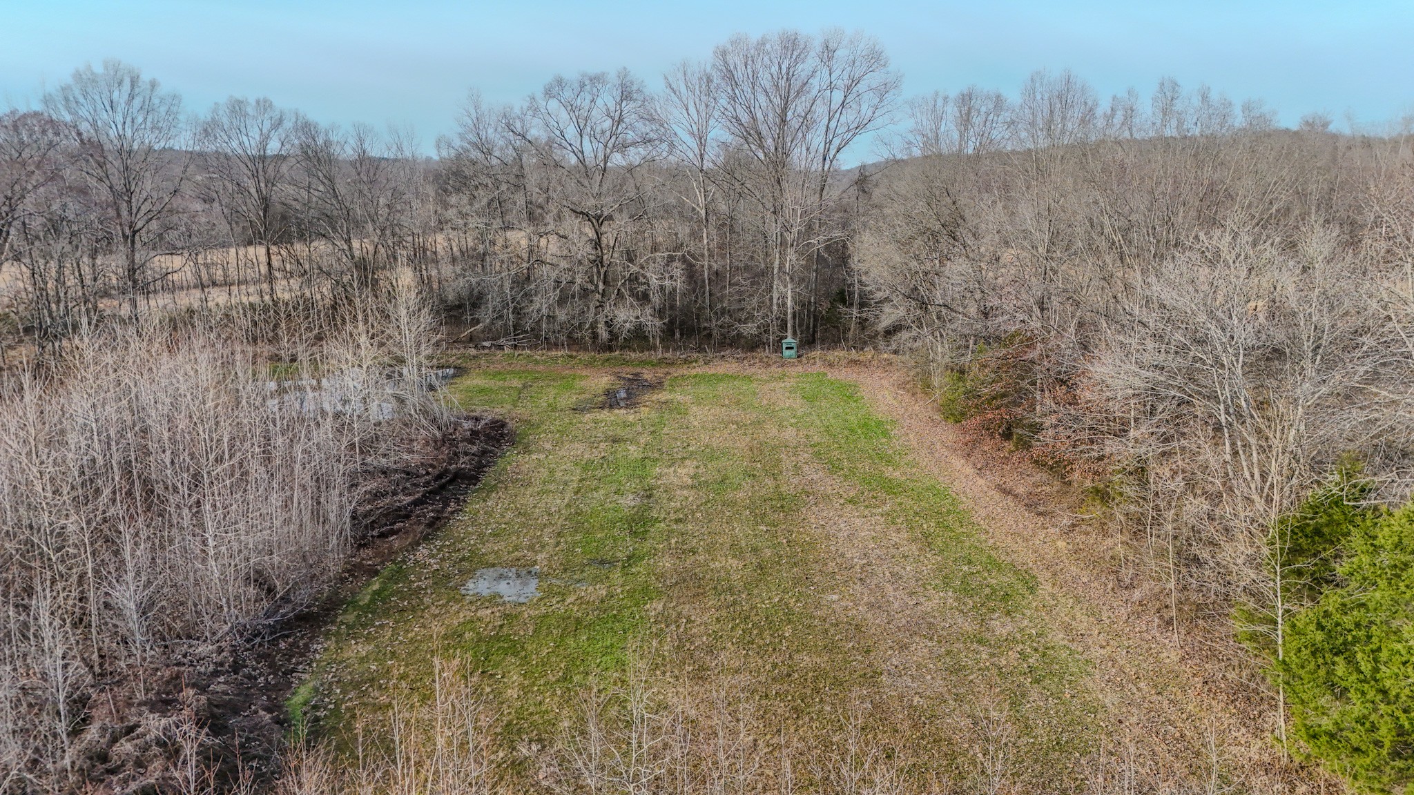 835 Mt Zion Road Scotts Hill, TN 38374 - Photo 5 of 76