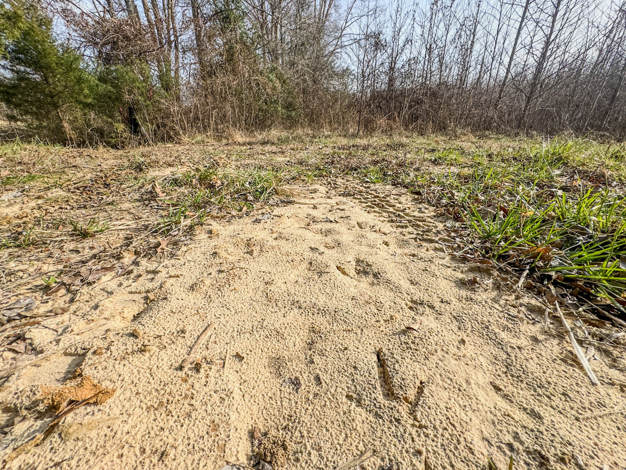 835 Mt Zion Road Scotts Hill, TN 38374 - Photo 51 of 76