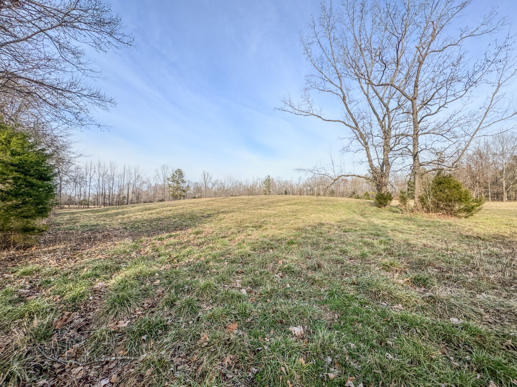 835 Mt Zion Road Scotts Hill, TN 38374 - Photo 53 of 76