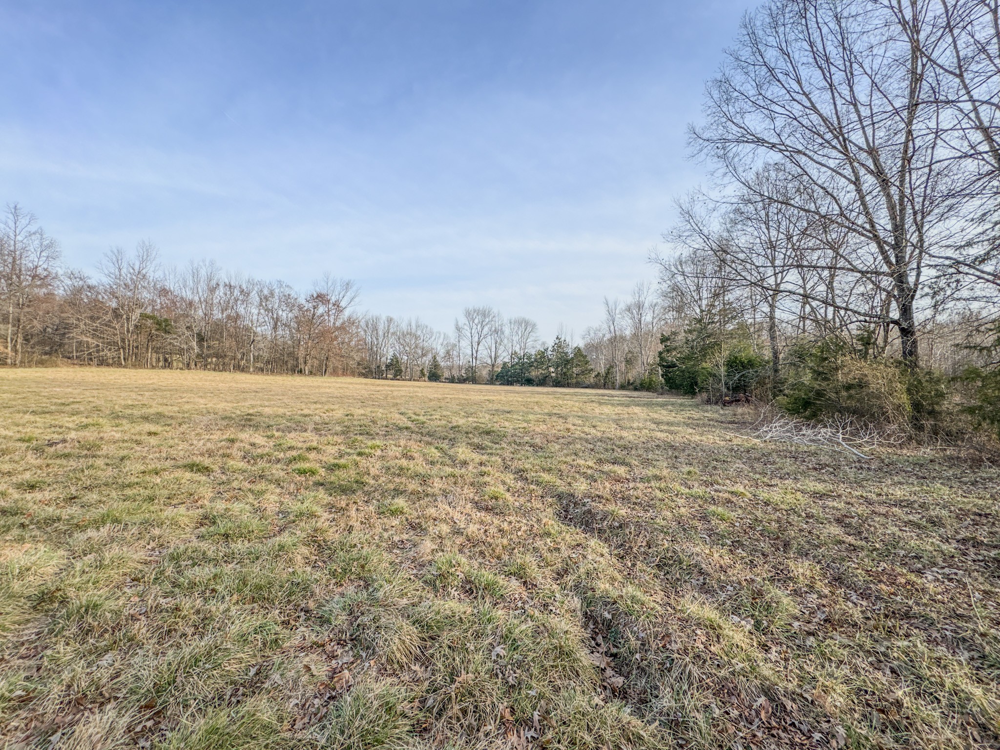 835 Mt Zion Road Scotts Hill, TN 38374 - Photo 54 of 76 a view of a field with an ocean