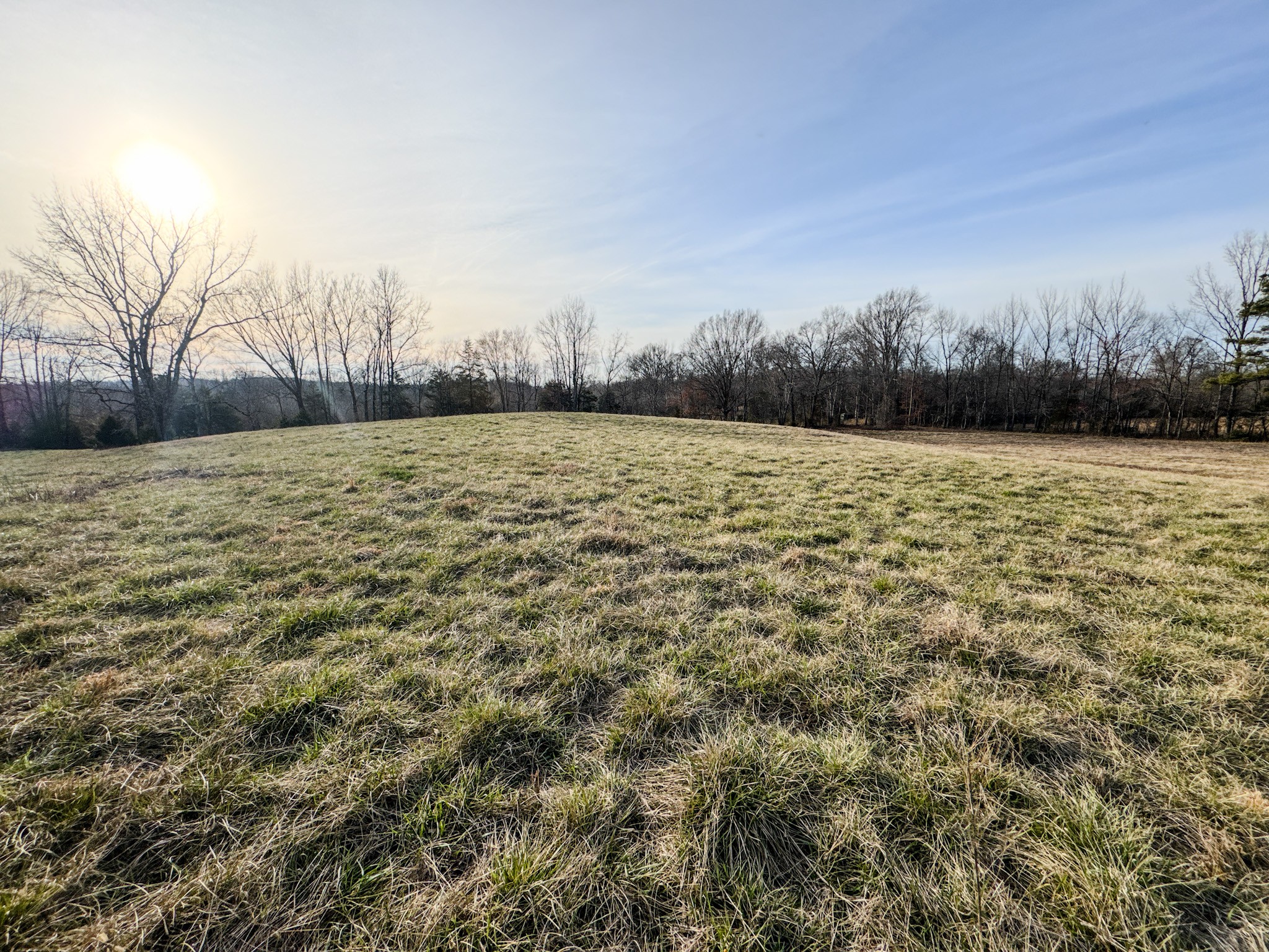 835 Mt Zion Road Scotts Hill, TN 38374 - Photo 55 of 76 a view of an ocean