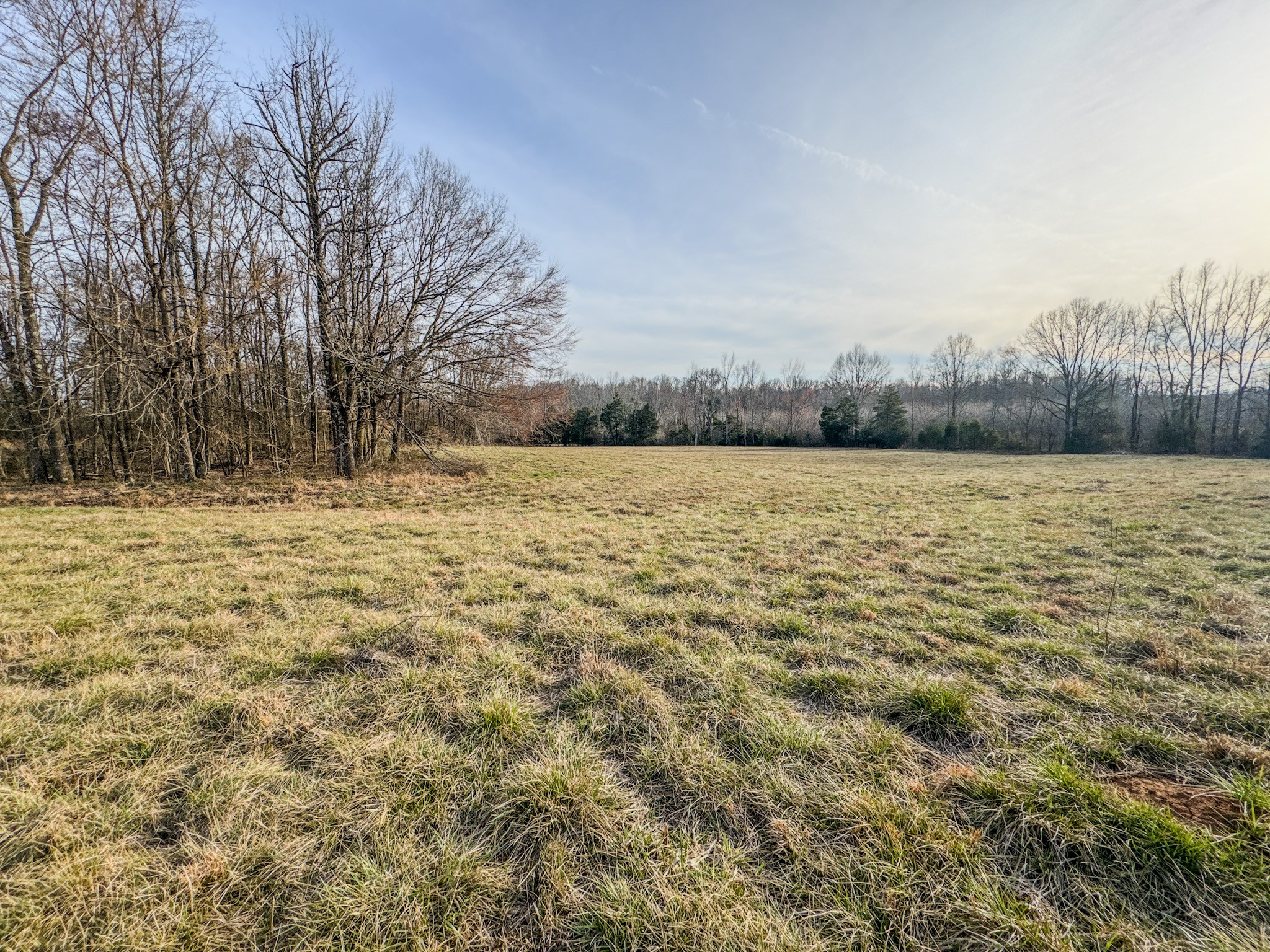 835 Mt Zion Road Scotts Hill, TN 38374 - Photo 57 of 76 a view of outdoor space and trees