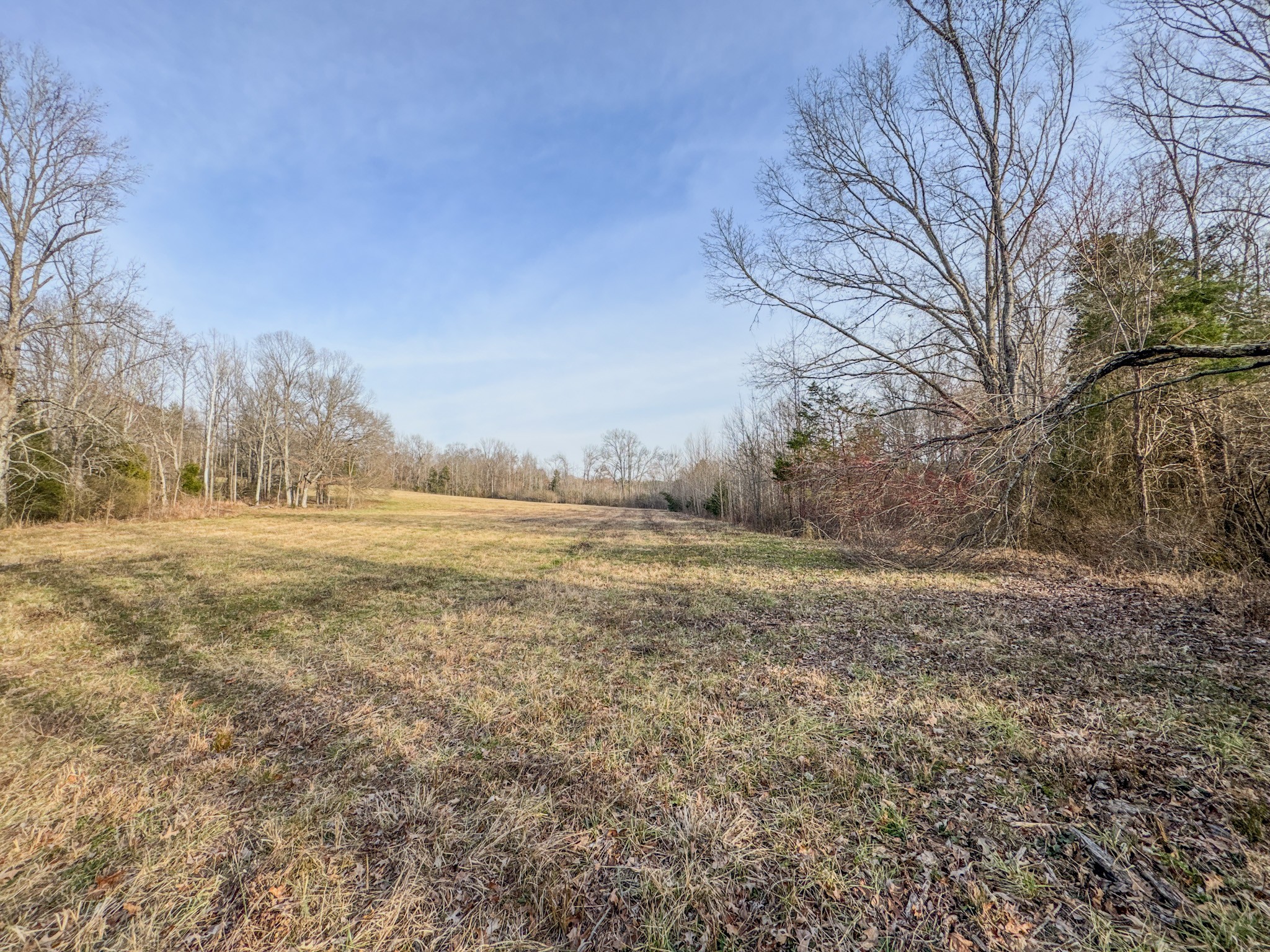 835 Mt Zion Road Scotts Hill, TN 38374 - Photo 58 of 76 a view of lake view