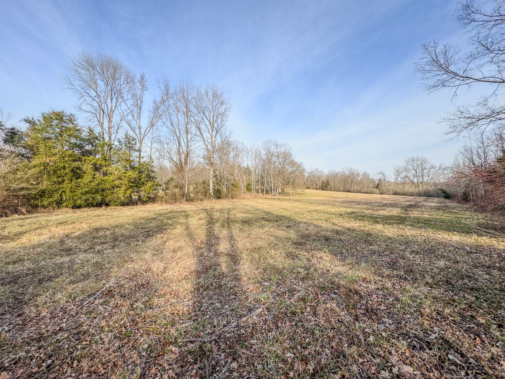 835 Mt Zion Road Scotts Hill, TN 38374 - Photo 59 of 76