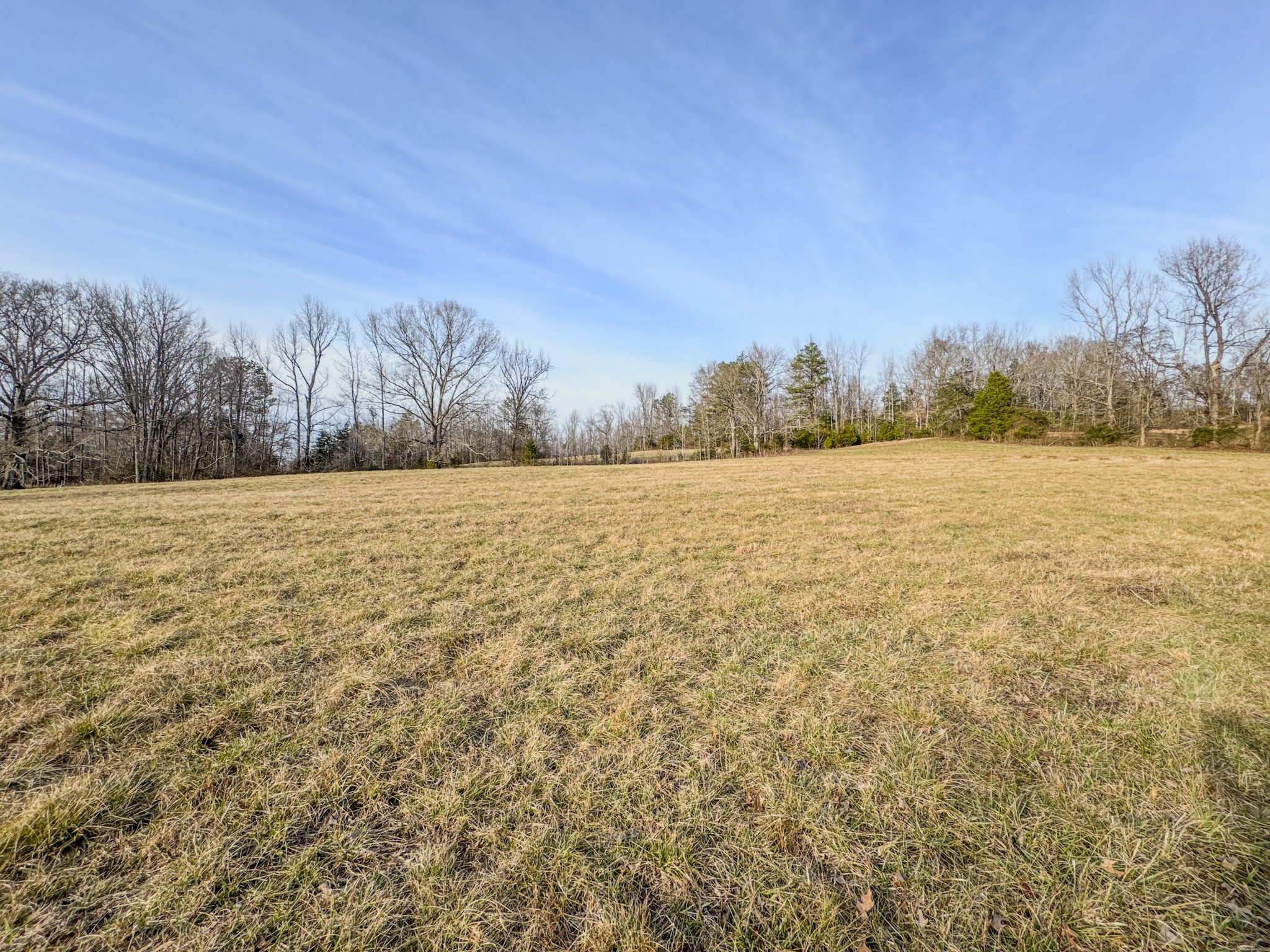 835 Mt Zion Road Scotts Hill, TN 38374 - Photo 60 of 76 a view of an outdoor space and a yard