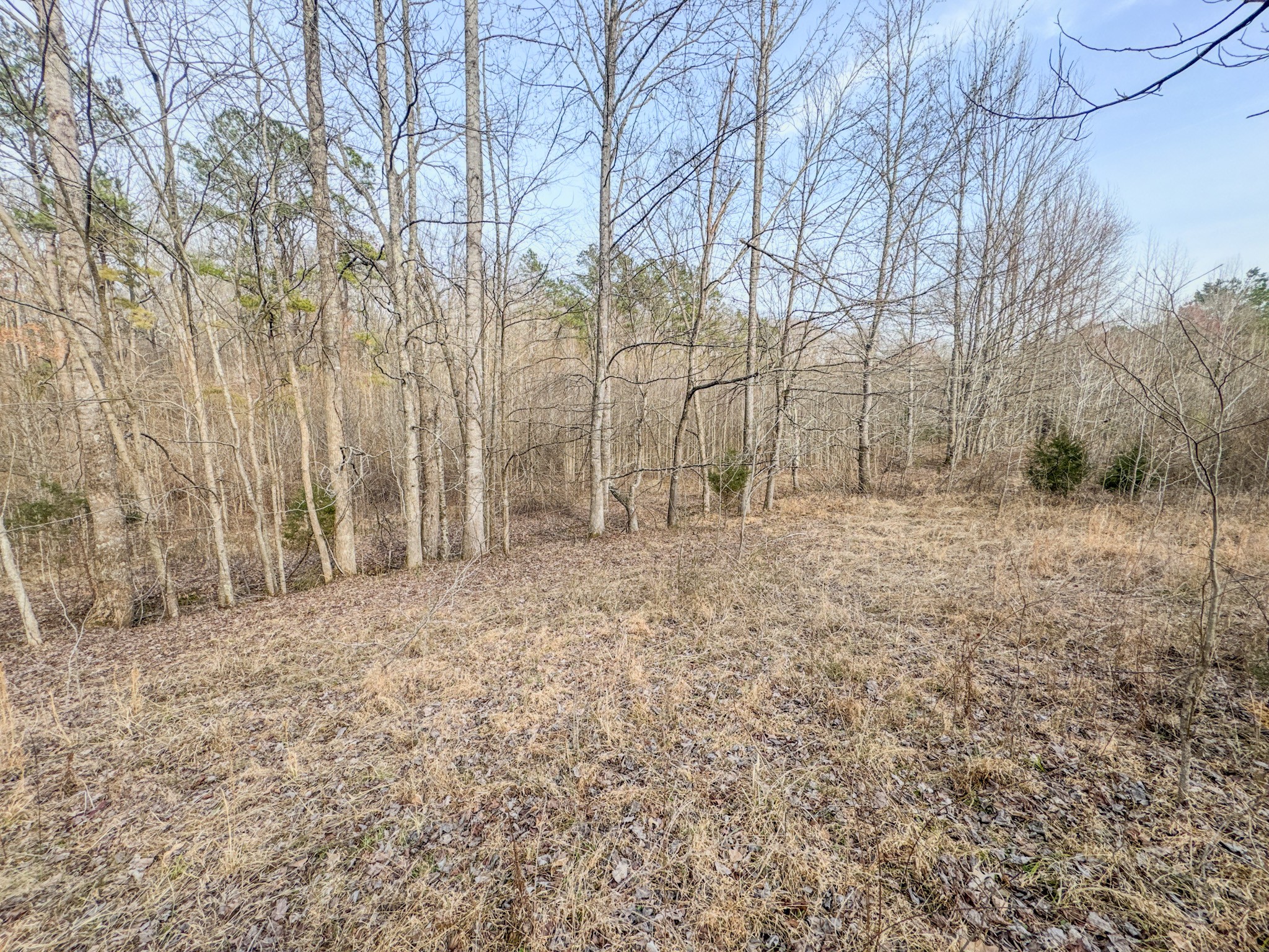 835 Mt Zion Road Scotts Hill, TN 38374 - Photo 68 of 76