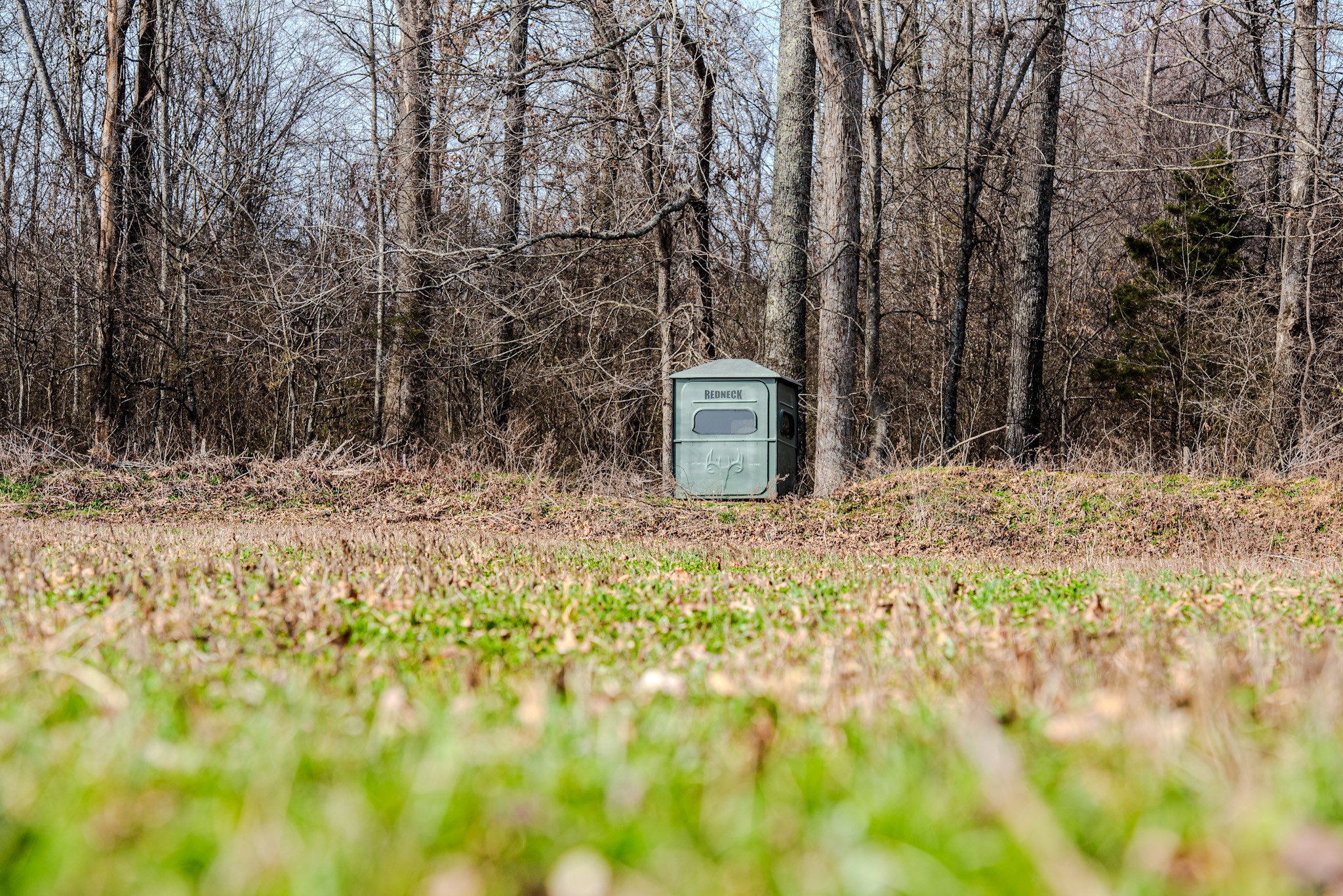 835 Mt Zion Road Scotts Hill, TN 38374 - Photo 7 of 76