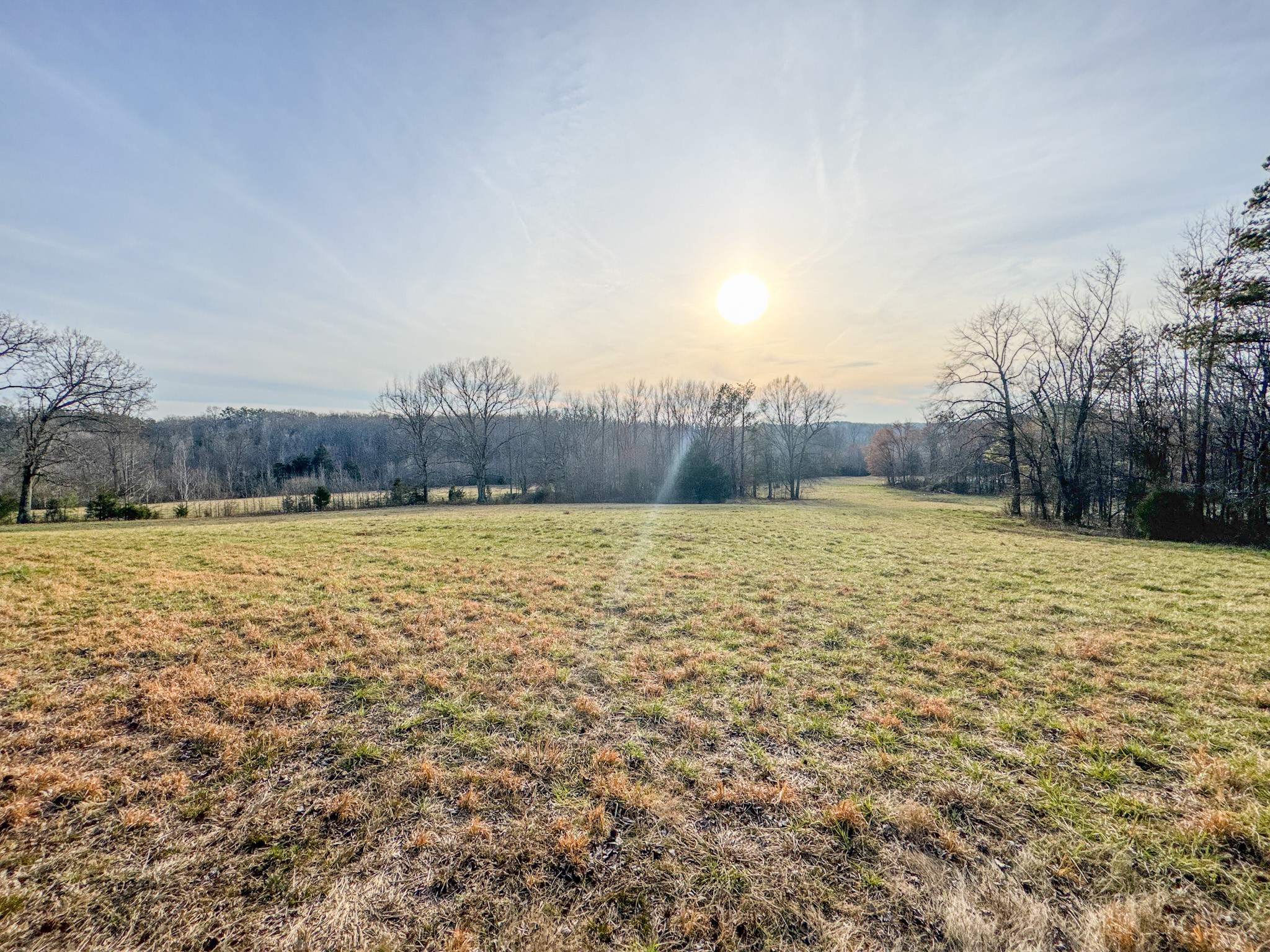 835 Mt Zion Road Scotts Hill, TN 38374 - Photo 73 of 76 a view of a swimming pool and trees