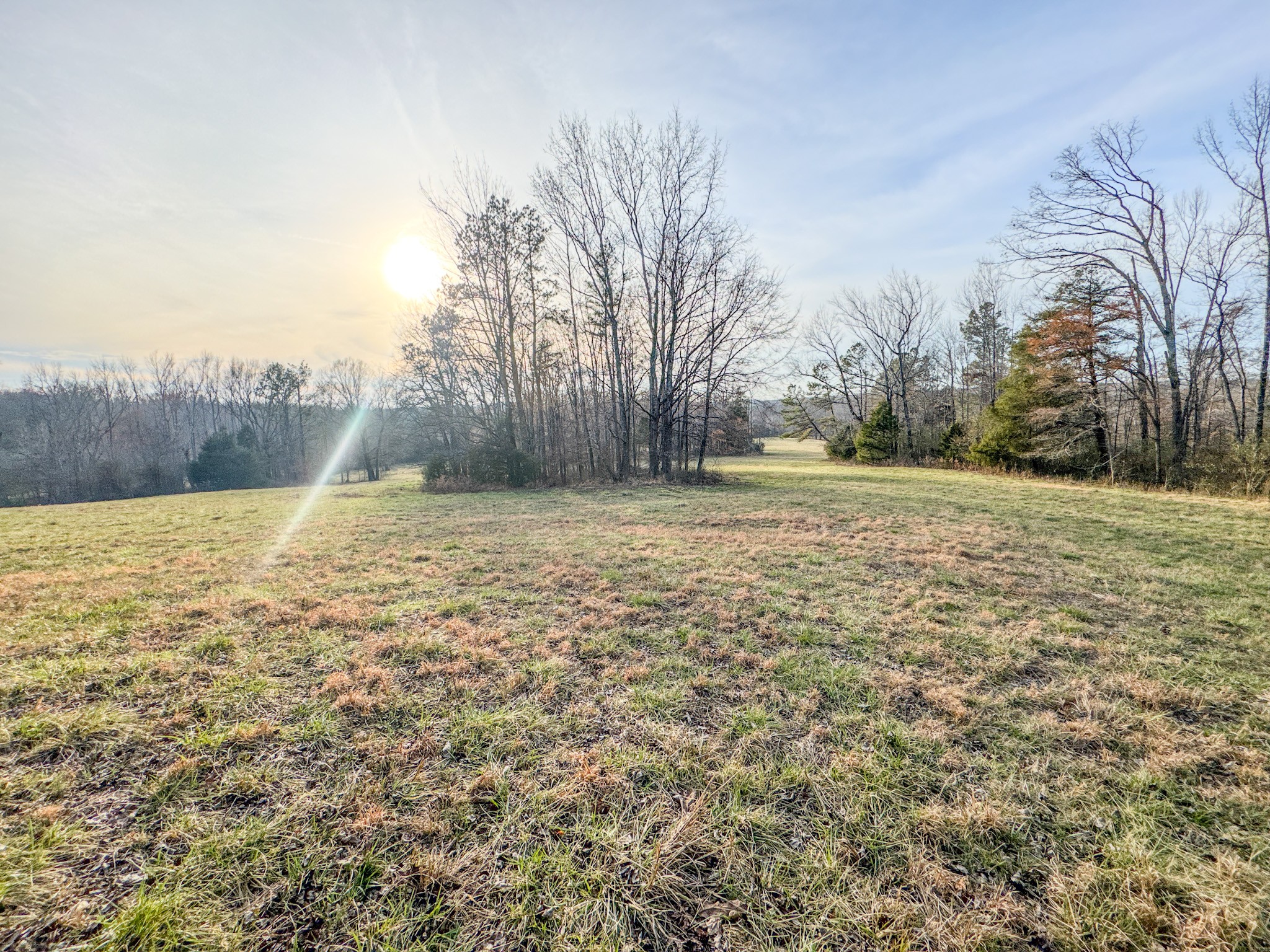 835 Mt Zion Road Scotts Hill, TN 38374 - Photo 74 of 76 a view of a field with an trees