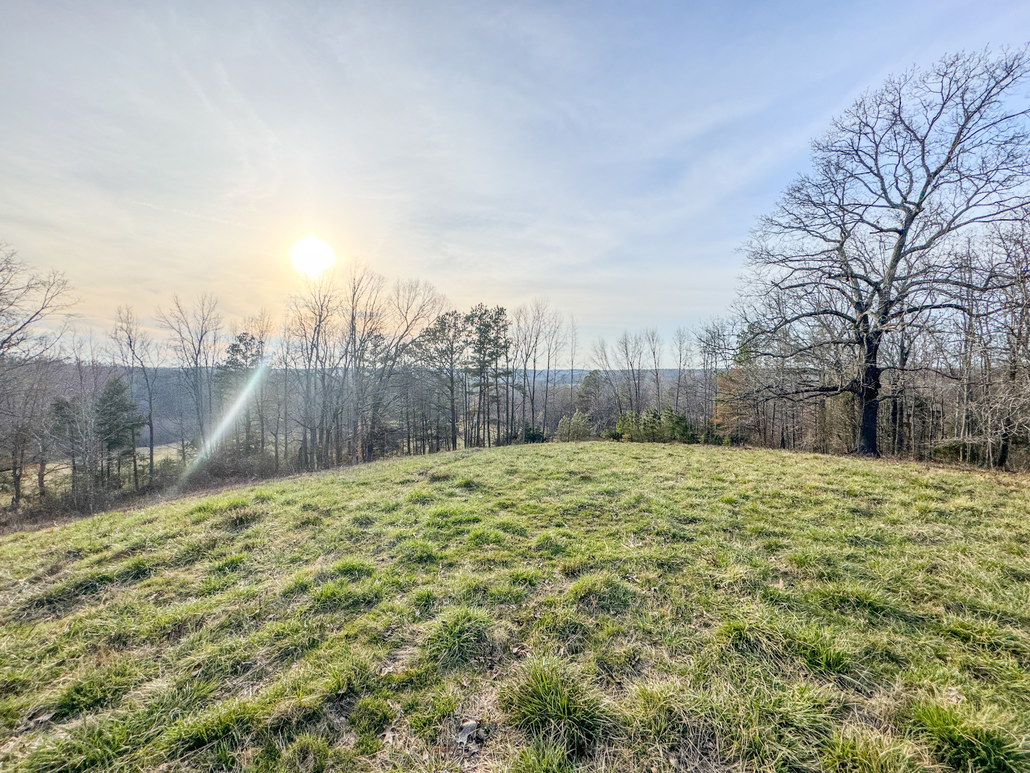 835 Mt Zion Road Scotts Hill, TN 38374 - Photo 75 of 76 a backyard of a house