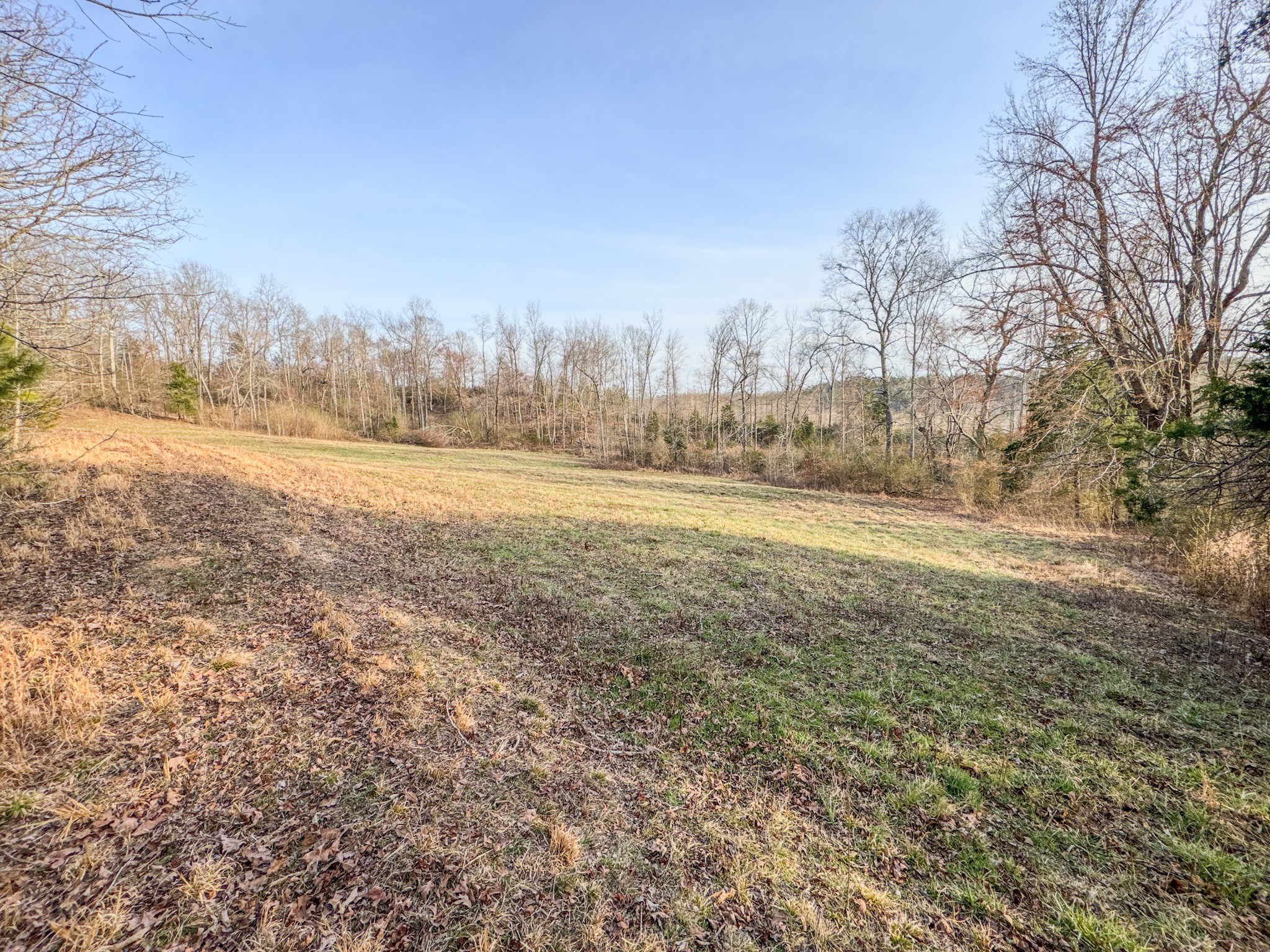 835 Mt Zion Road Scotts Hill, TN 38374 - Photo 76 of 76 a view of an ocean and trees