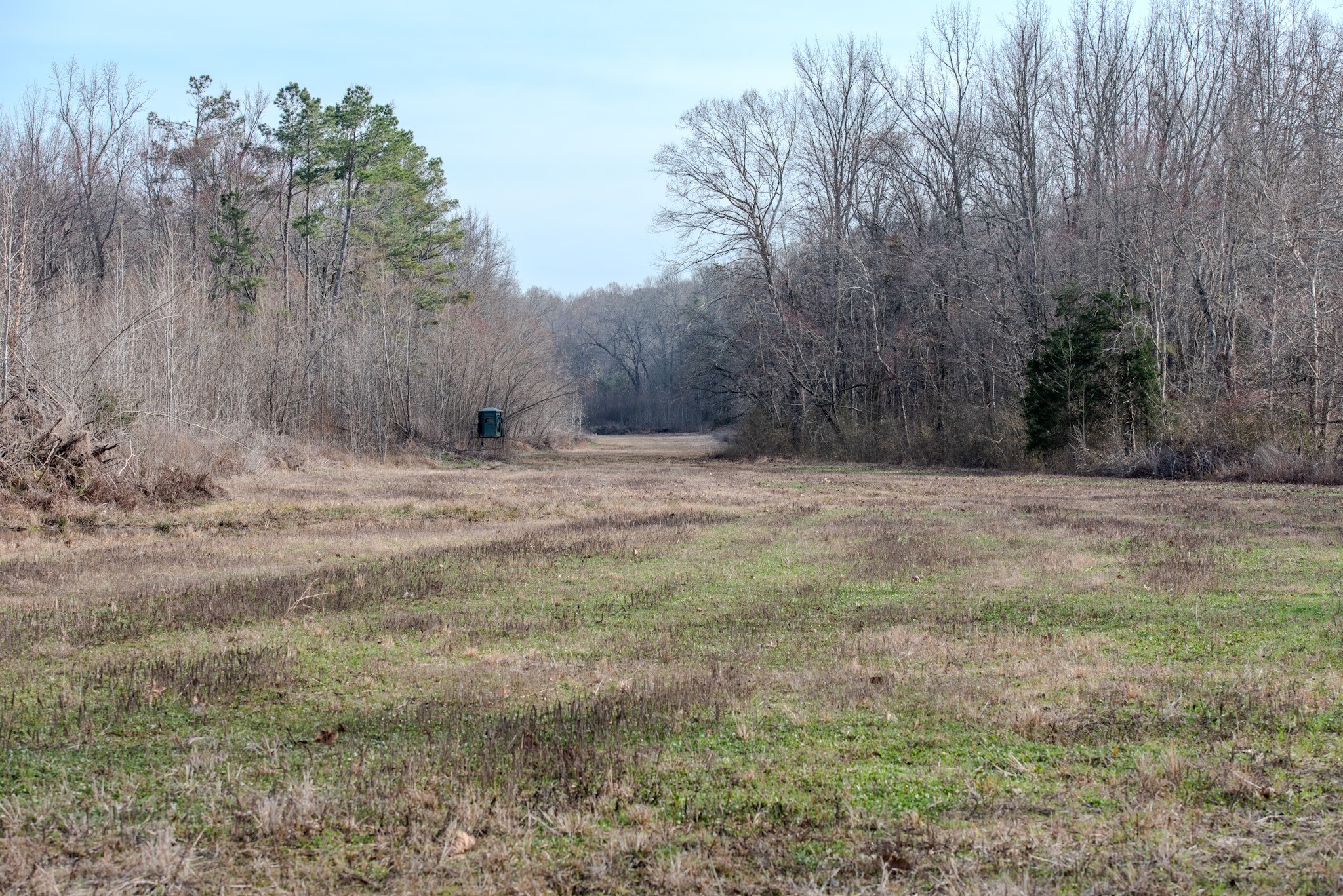 835 Mt Zion Road Scotts Hill, TN 38374 - Photo 9 of 76 a view of dirt field with trees in background