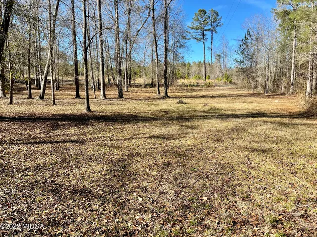 a view of a yard with a fountain
