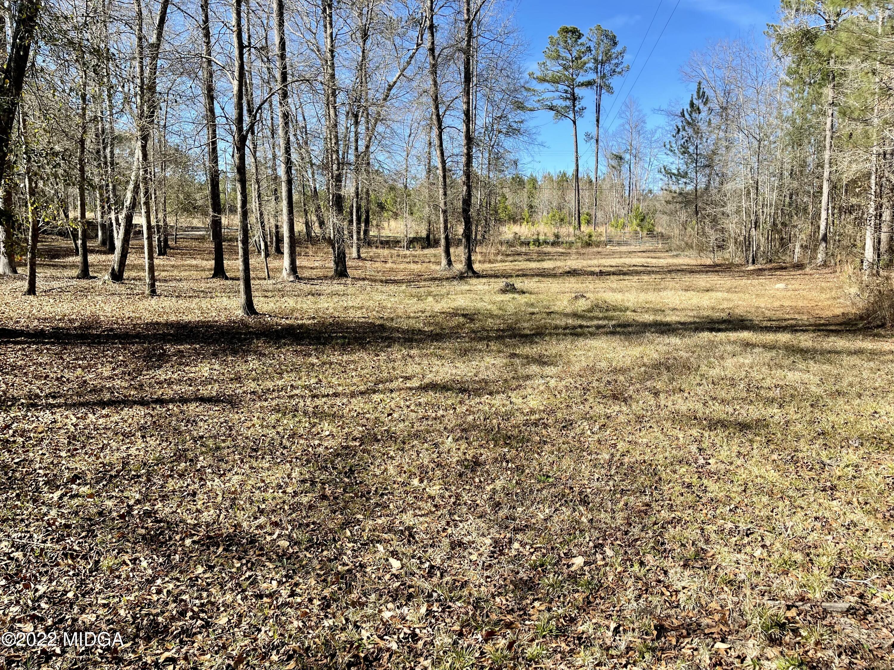 9532 Old Gordon Road Dry Branch, GA 31020 - Photo 21 of 29 a view of a yard with a fountain
