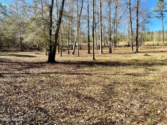 a view of outdoor space with trees