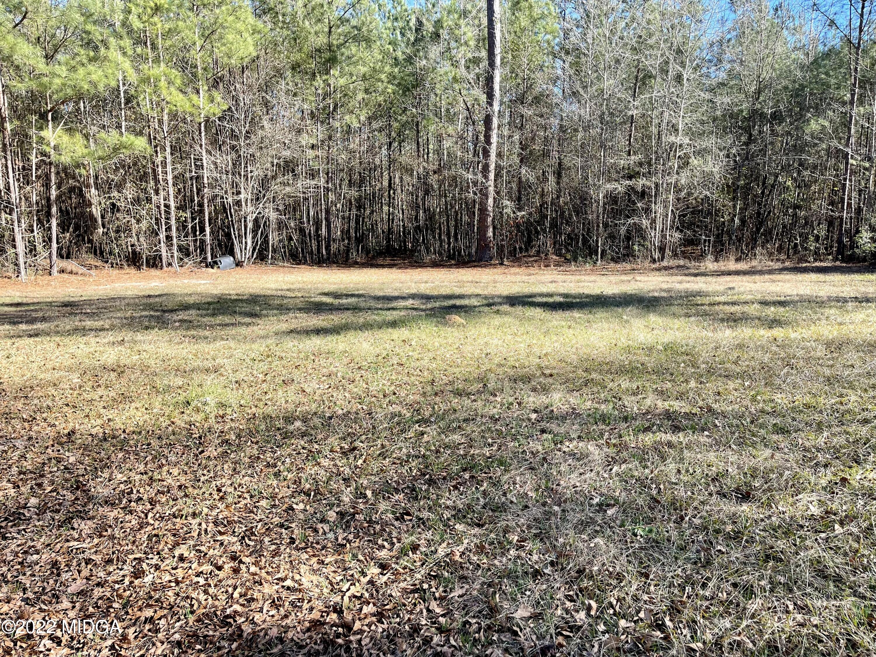 9532 Old Gordon Road Dry Branch, GA 31020 - Photo 26 of 29 a view of a house with a yard