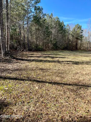 a view of a yard with trees