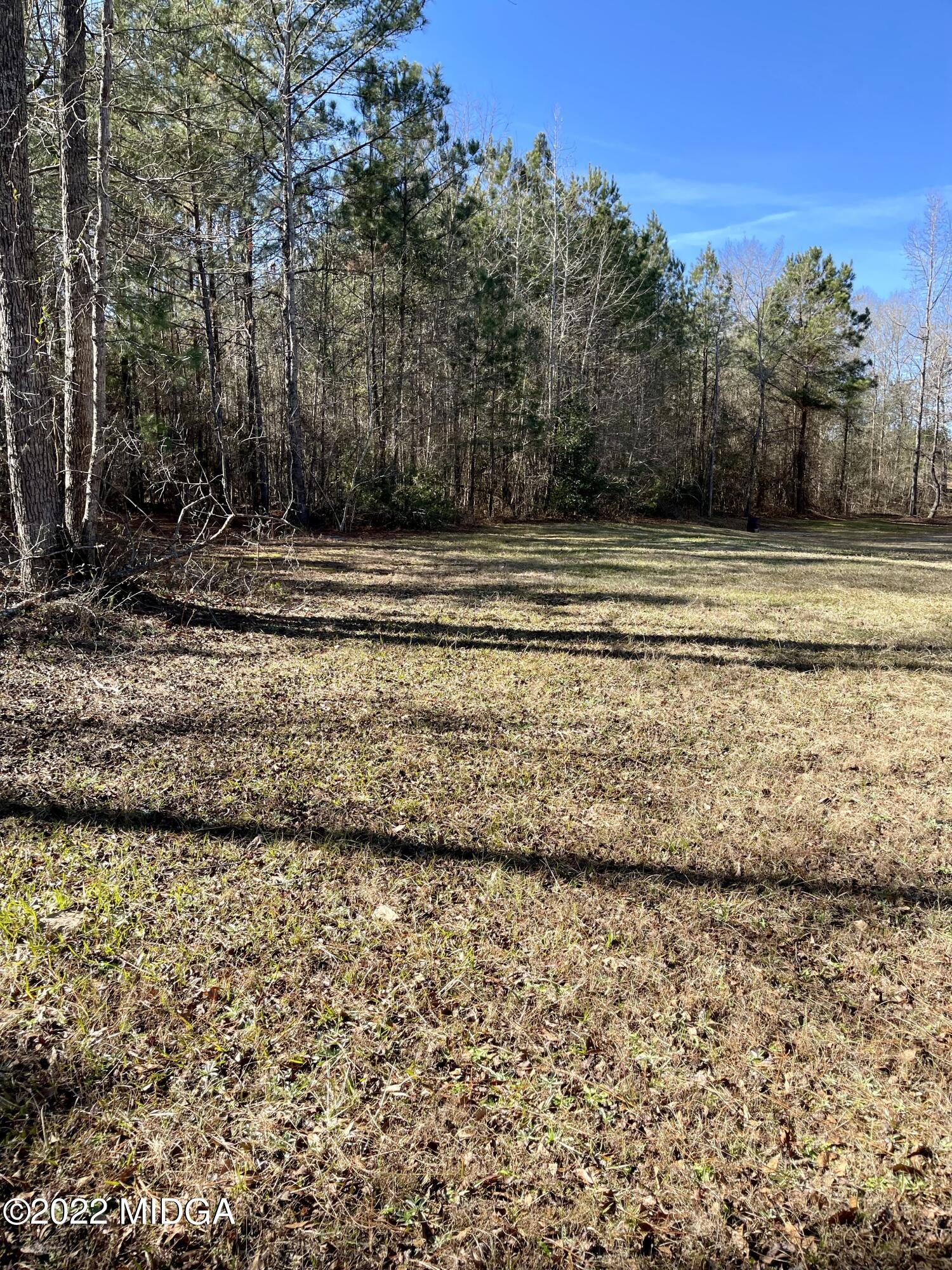 9532 Old Gordon Road Dry Branch, GA 31020 - Photo 28 of 29 a view of a yard with a house