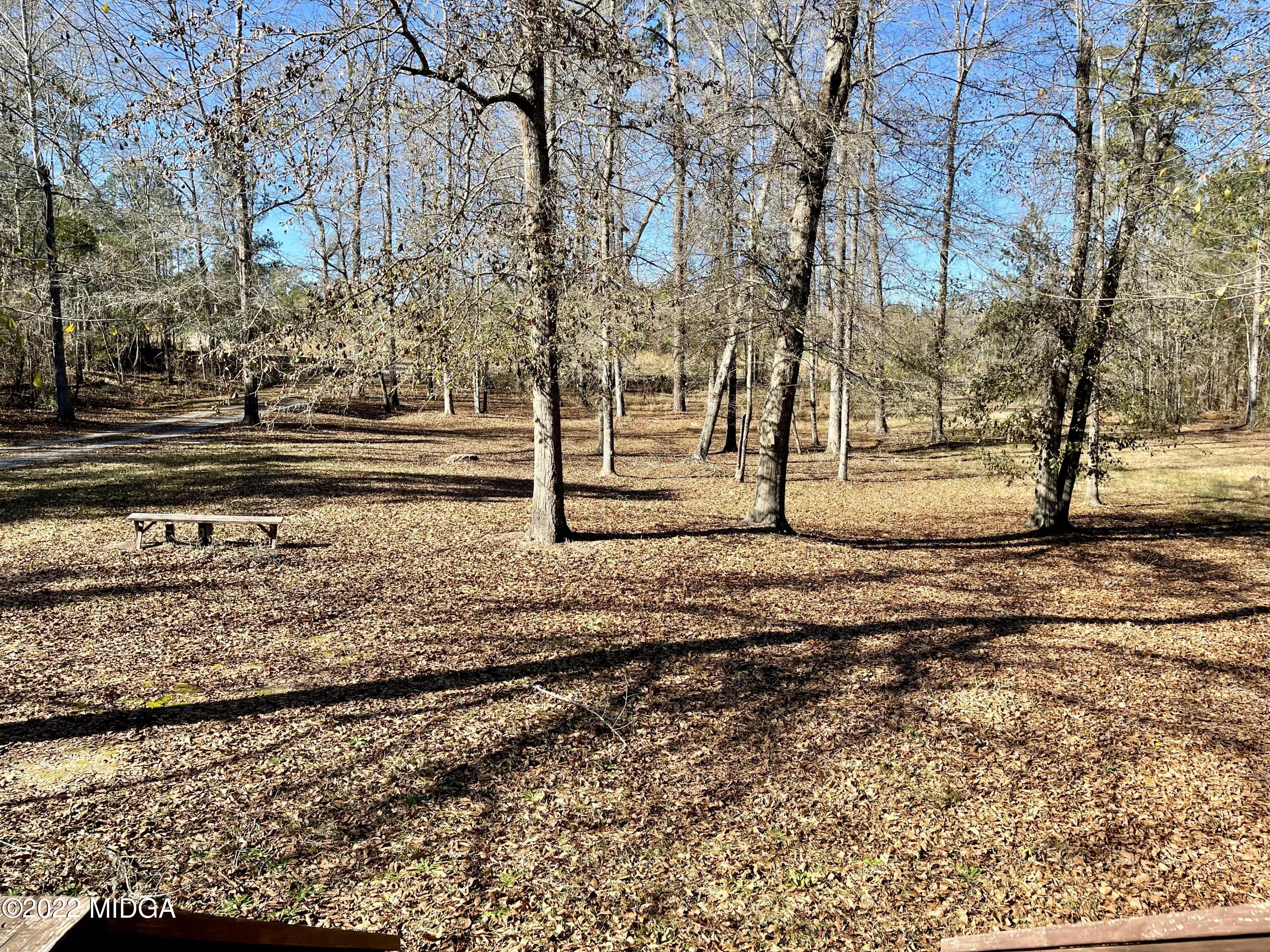 9532 Old Gordon Road Dry Branch, GA 31020 - Photo 29 of 29 a view of a yard with trees