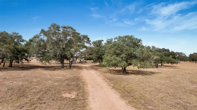 a view of outdoor space with trees