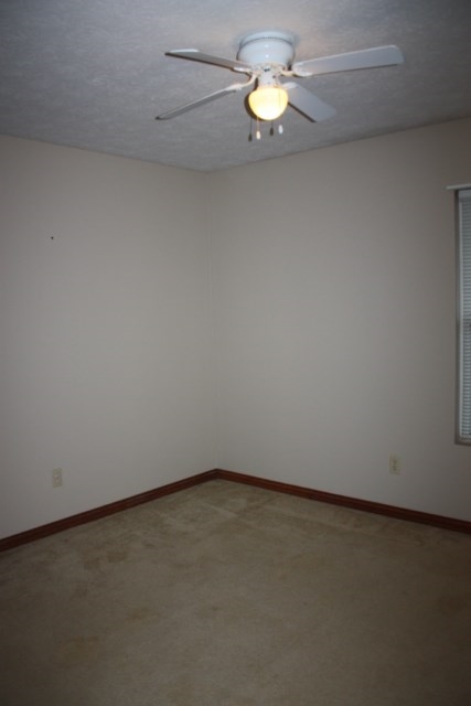 8881 West Division Line Road Delphi, IN 46923 - Photo 12 of 24 Gallery Image 12