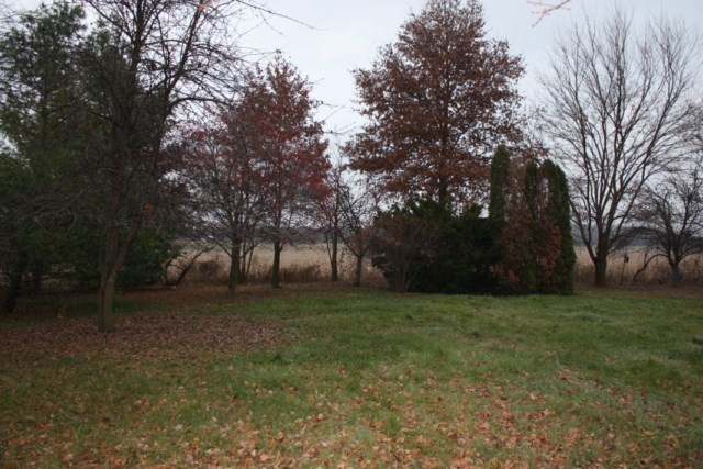 8881 West Division Line Road Delphi, IN 46923 - Photo 20 of 24 Gallery Image 20