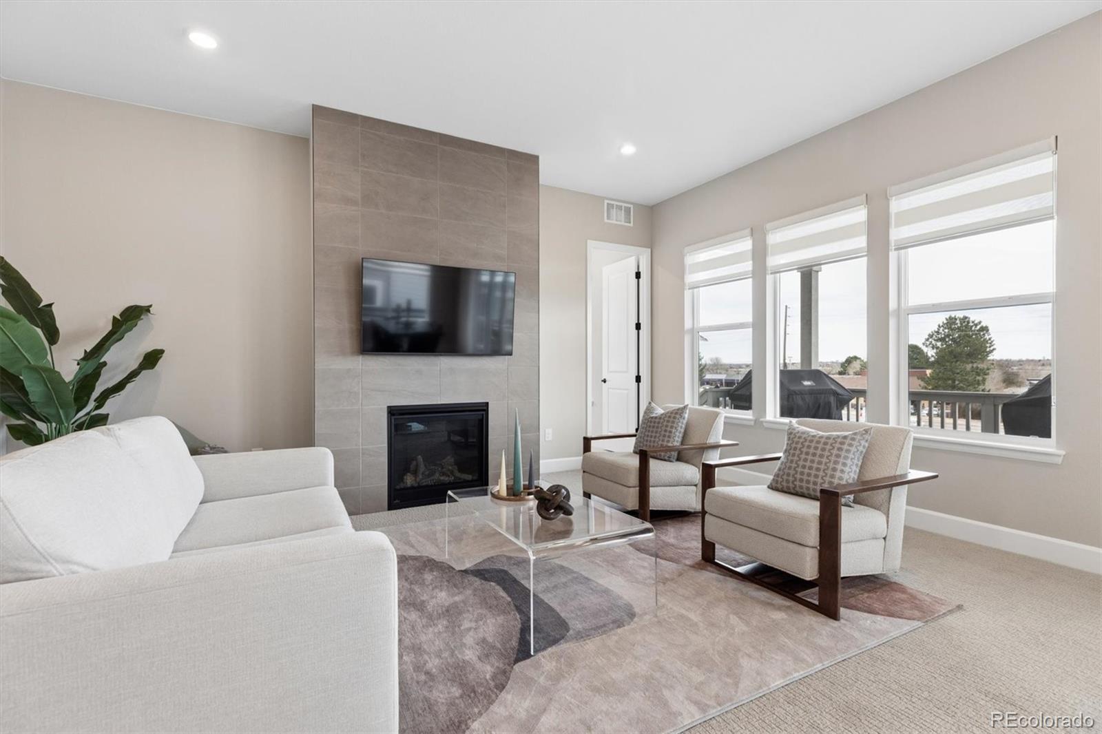 5980 South Platte Canyon Road Littleton, CO 80123 - Photo 19 of 50 a living room with furniture a fireplace and a flat screen tv