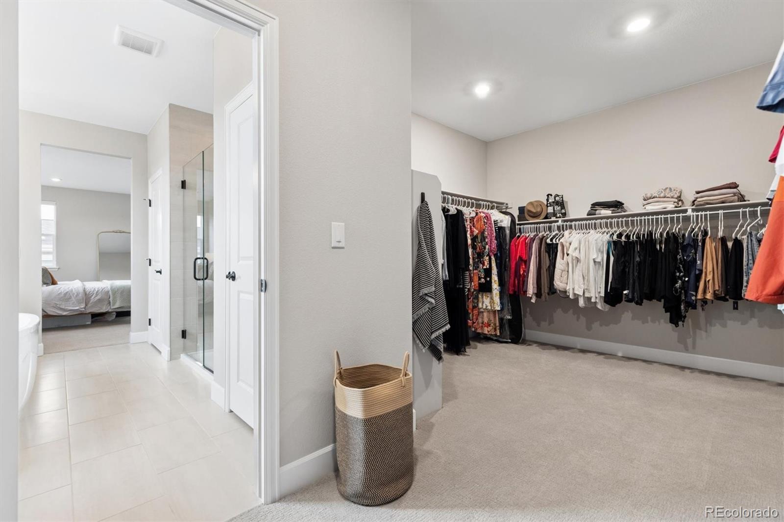 5980 South Platte Canyon Road Littleton, CO 80123 - Photo 30 of 50 a living room with furniture and a walk in closet