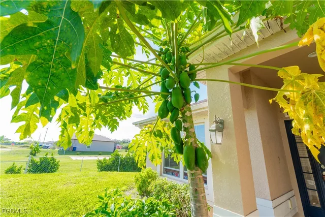 a view of swimming pool from a garden