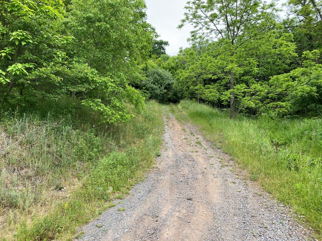 Tbd Hawthorne Holw Road Rural Retreat, VA 24368 - Photo 10 of 10 Gallery Image 10