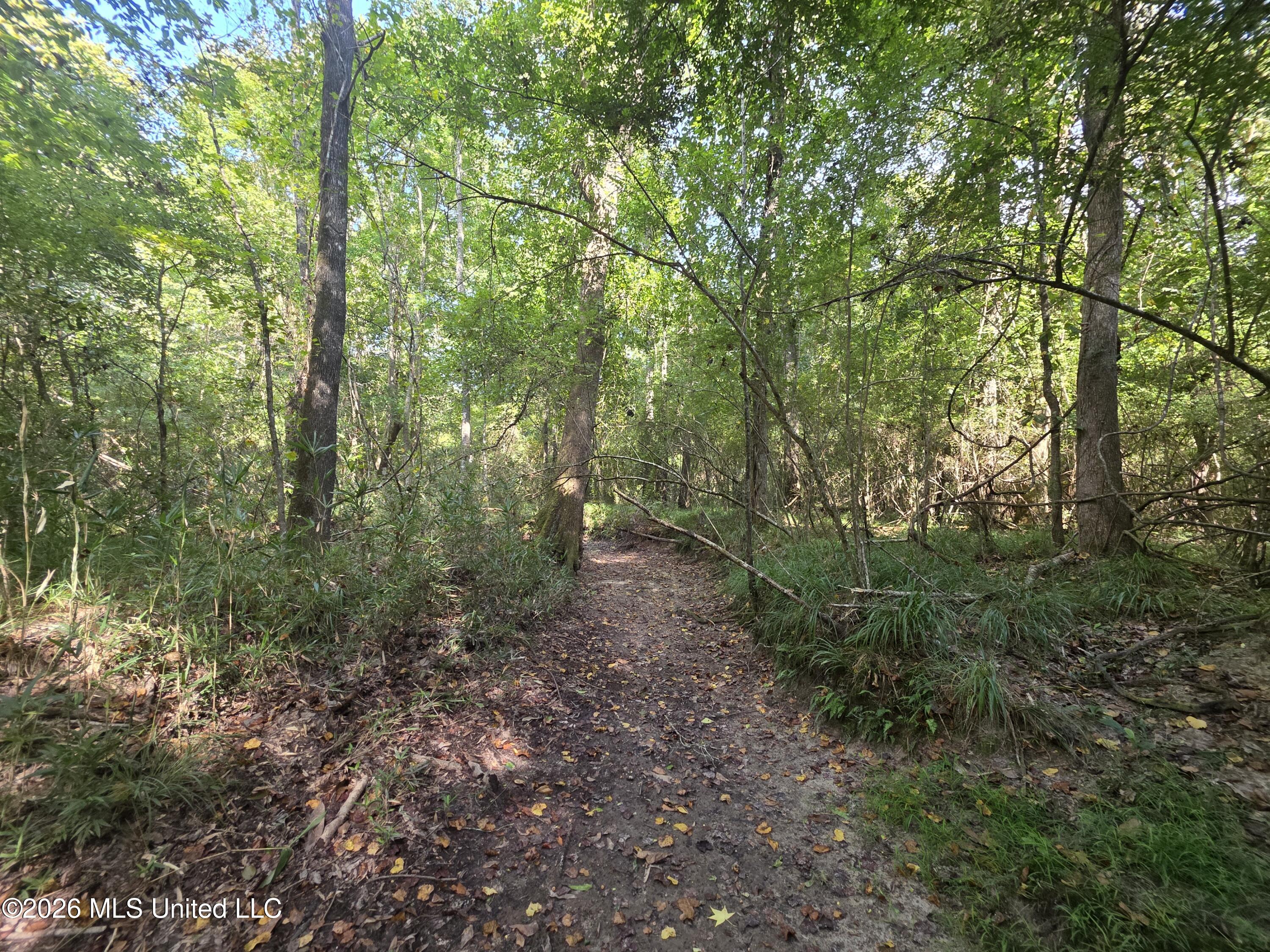 St Paul Road Sandy Hook, MS 39478 - Photo 12 of 16 40379