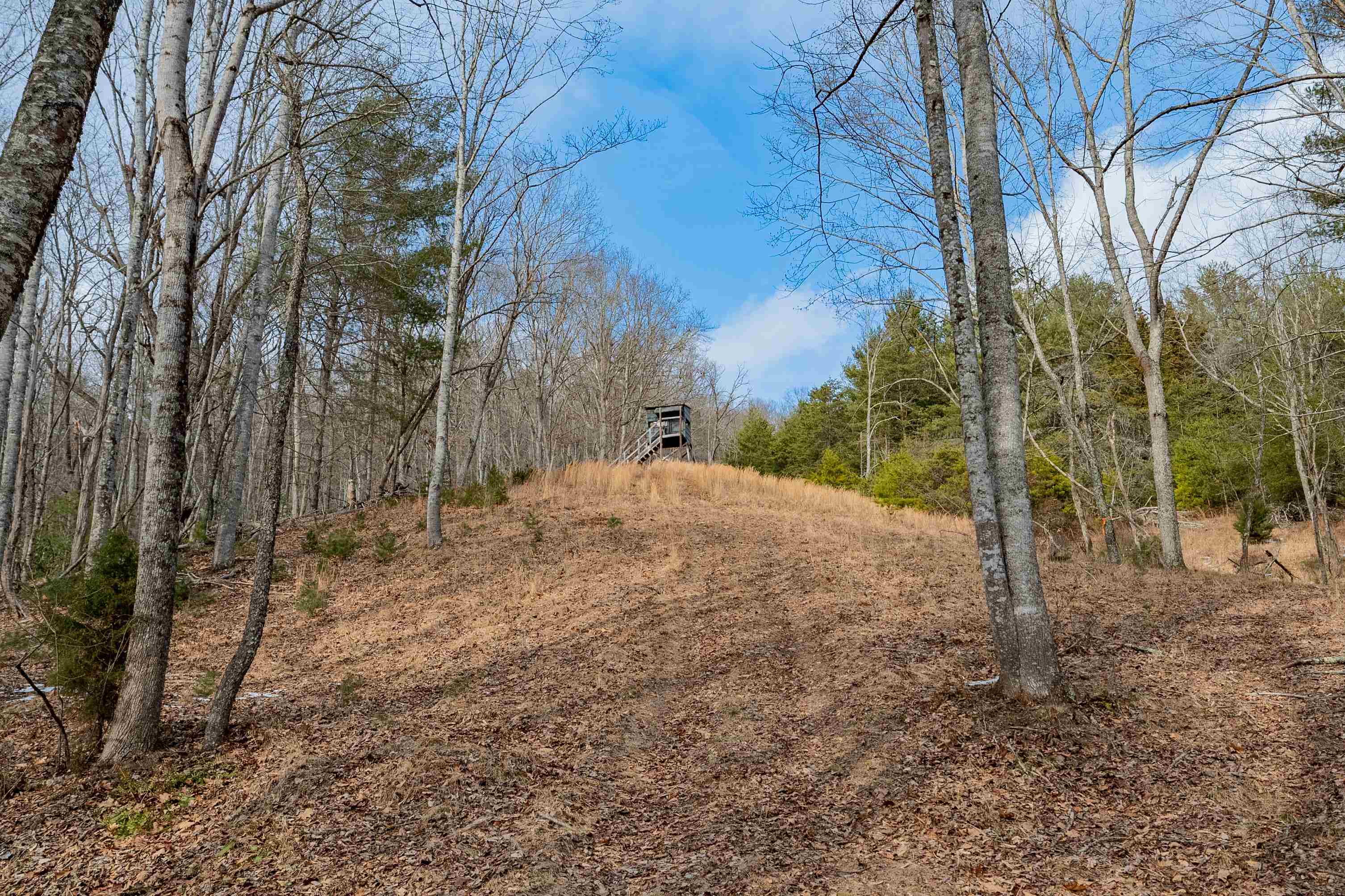 Tbd Spur Branch Road Dublin, VA 24084 - Photo 23 of 84 Gallery Image 23
