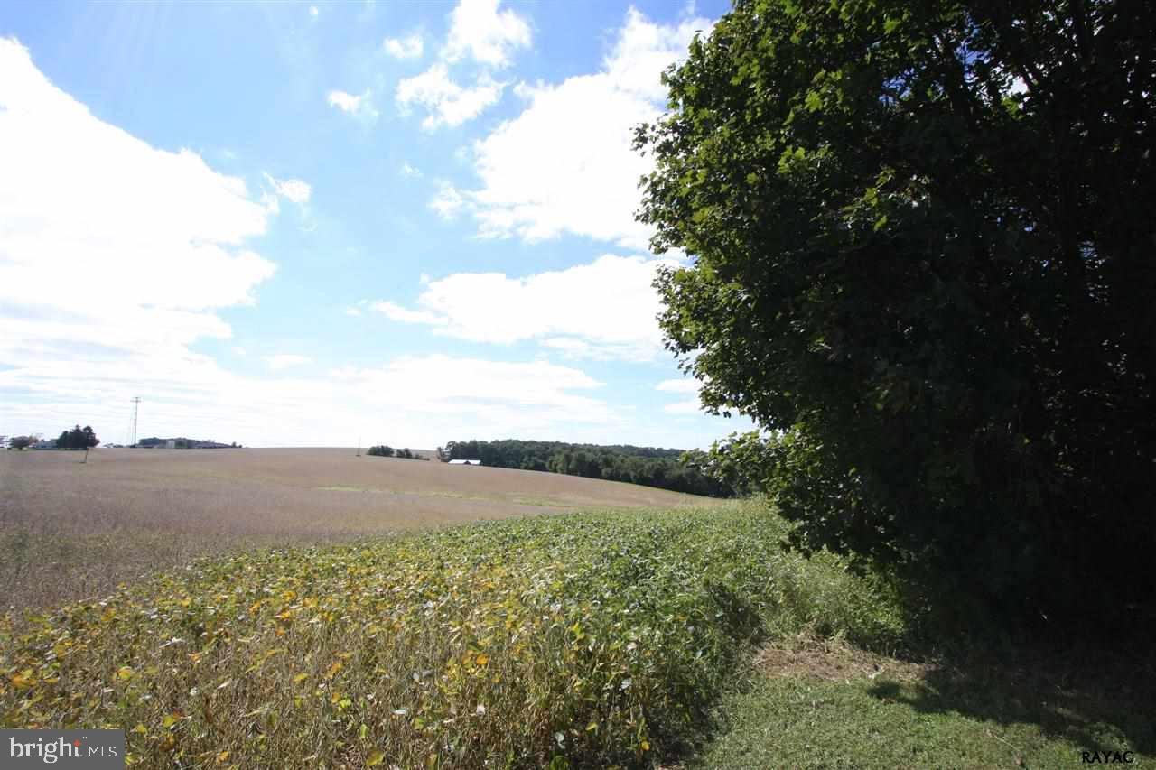 2410 Delta Road Brogue, PA 17309 - Photo 8 of 33