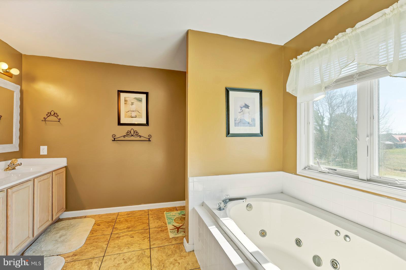 48948 Packer Court St. Inigoes, MD 20684 - Photo 22 of 45 a bathroom with a bathtub and window