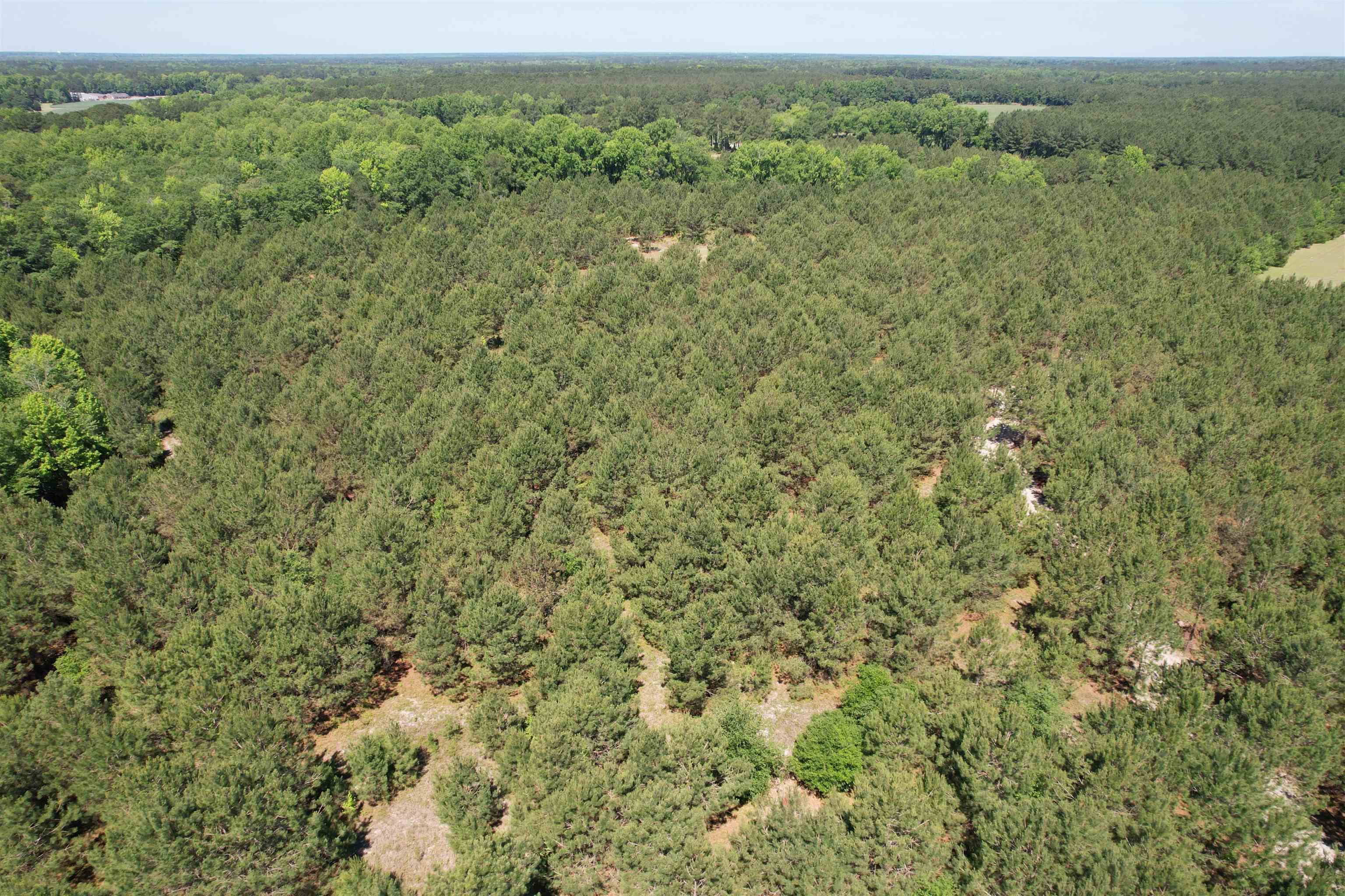 5432 June Burn Road Manning, SC 29102 - Photo 25 of 32