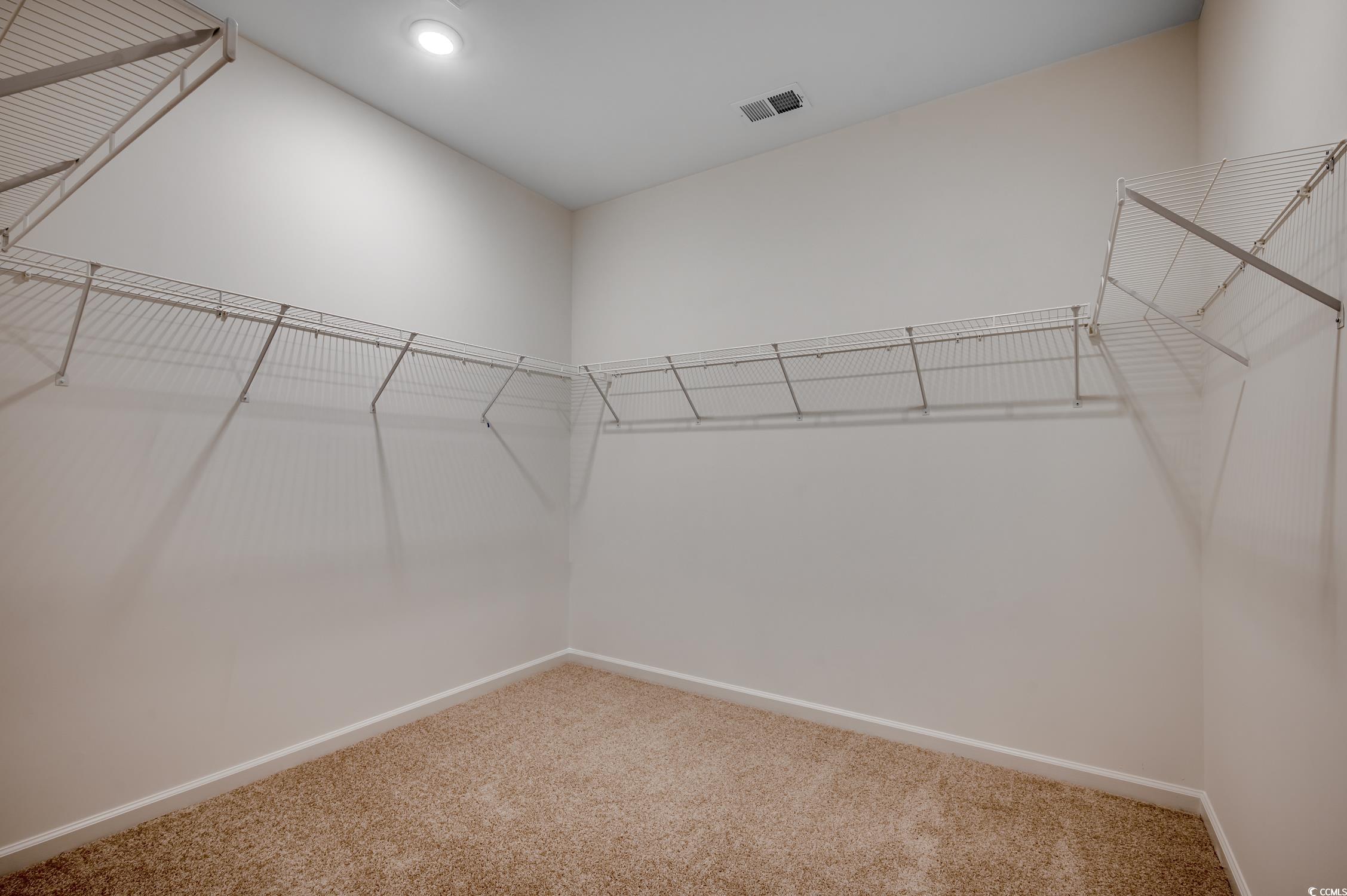 439 Kapalua Loop Little River, SC 29566 - Photo 26 of 36 Walk in closet featuring carpet floors