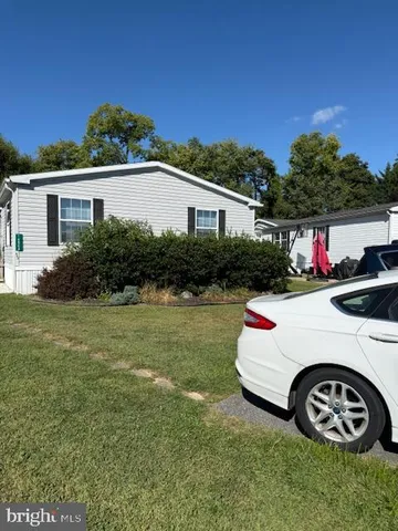 a white house covered with tall trees