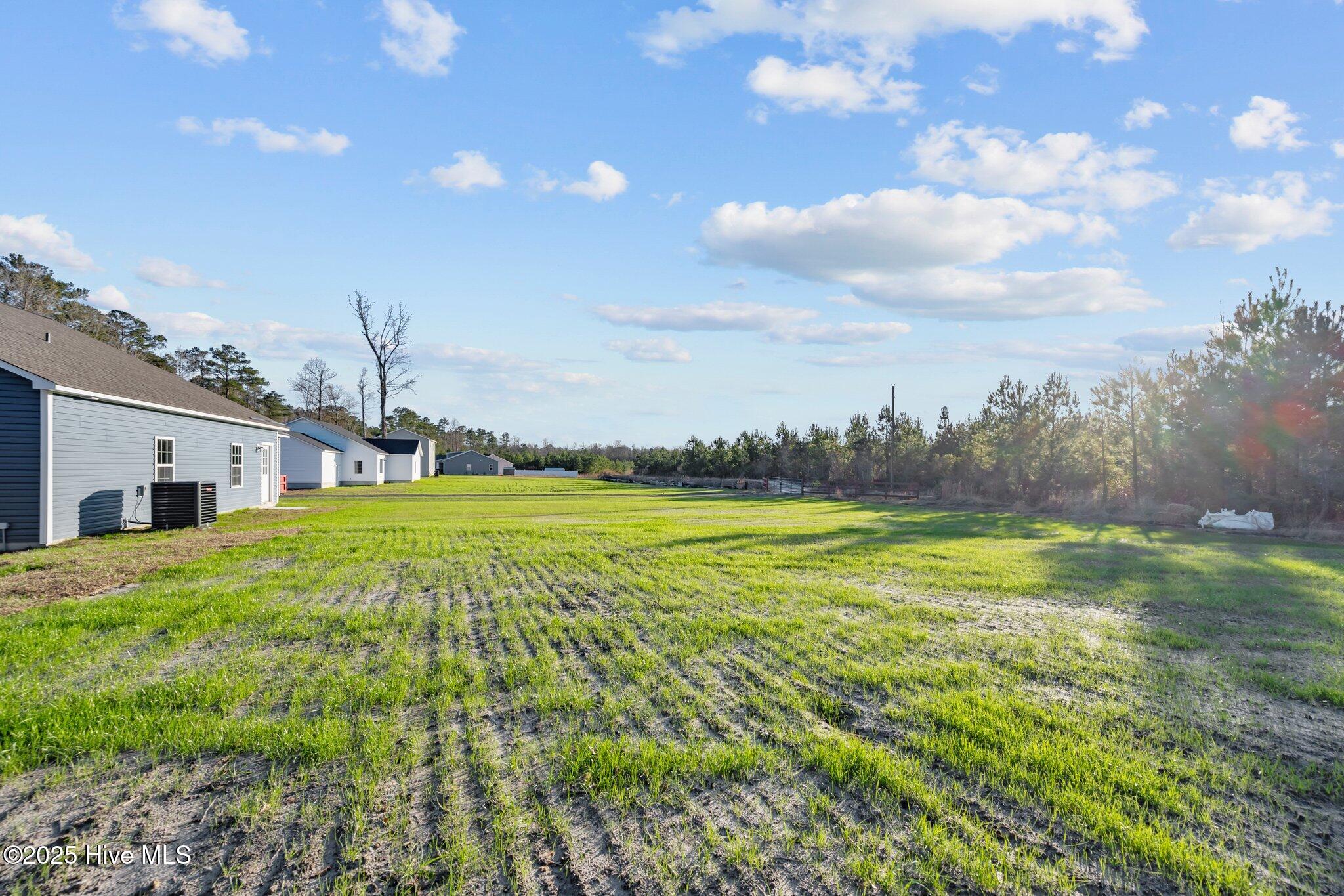 134 Padgett Road Maple Hill, NC 28454 - Photo 43 of 46 43-web-or-mls-13