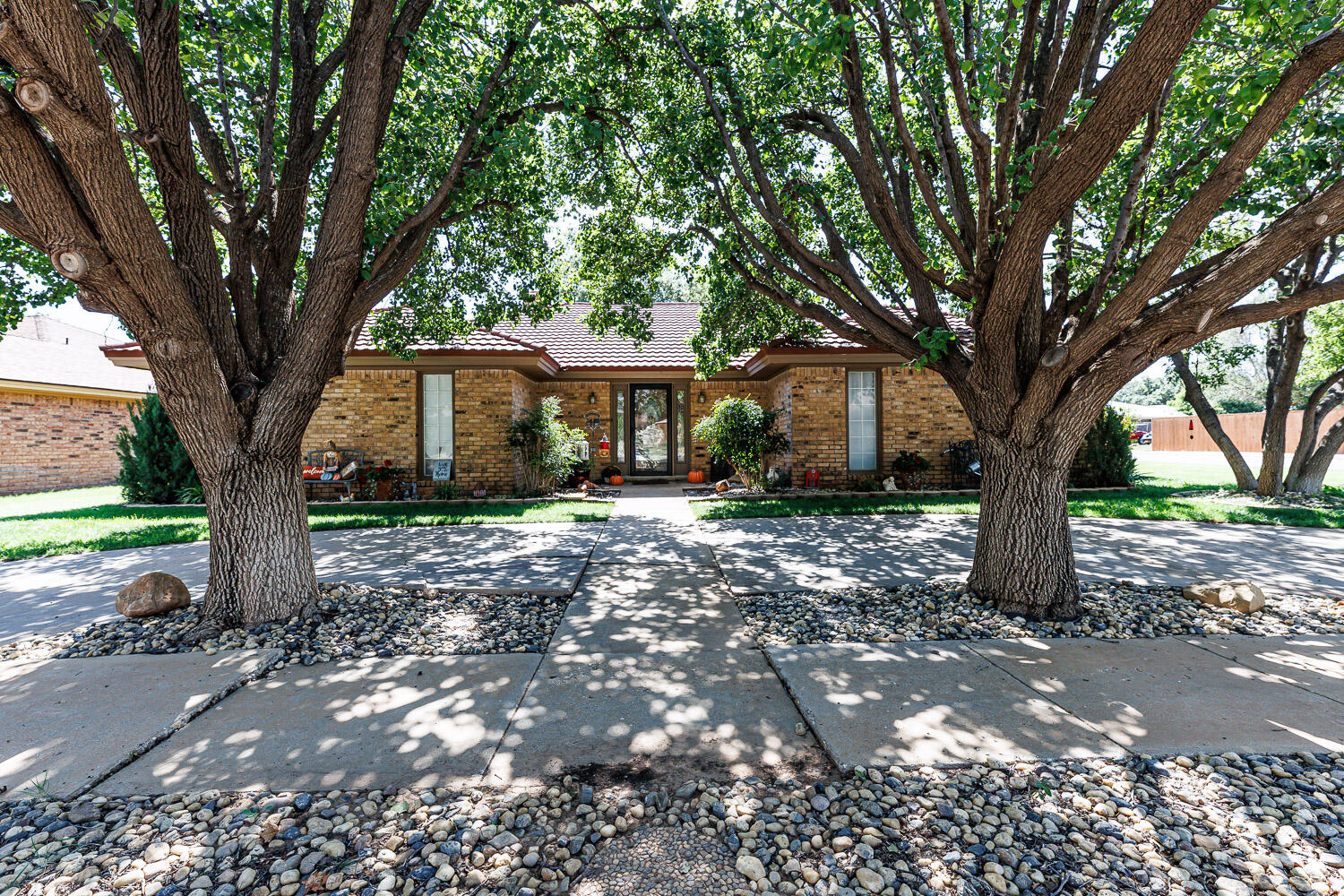 5717 72nd Street Lubbock, TX 79424 - Photo 1 of 54 a large tree in front of a white house