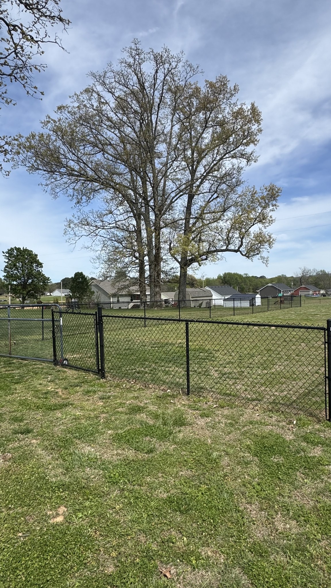 571 Asbury Church Road Hillsboro, TN 37342 - Photo 50 of 60