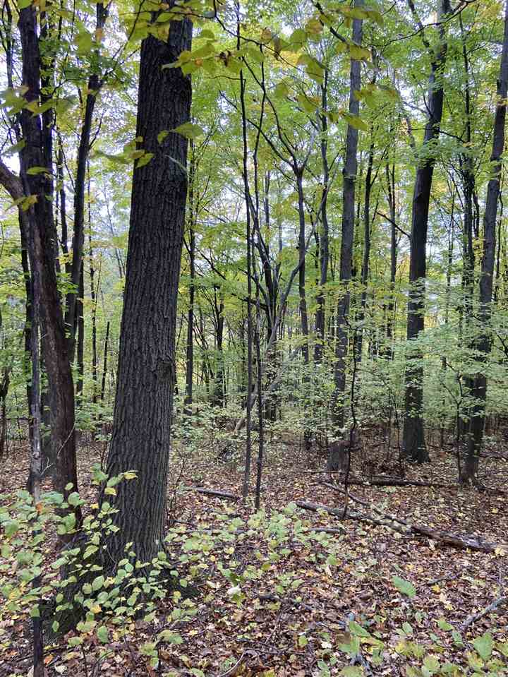 11-acres Milarch Road Onekama, MI 49675 - Photo 11 of 37