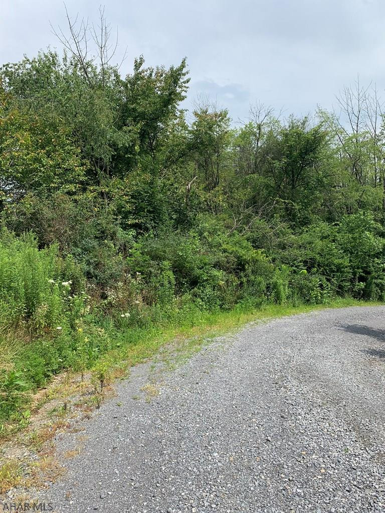 0 Plum Creek Road Roaring Spring, PA 16673 - Photo 2 of 3 Gallery Image 2