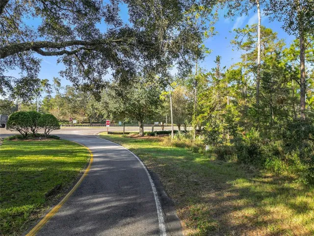 a view of a park with large trees