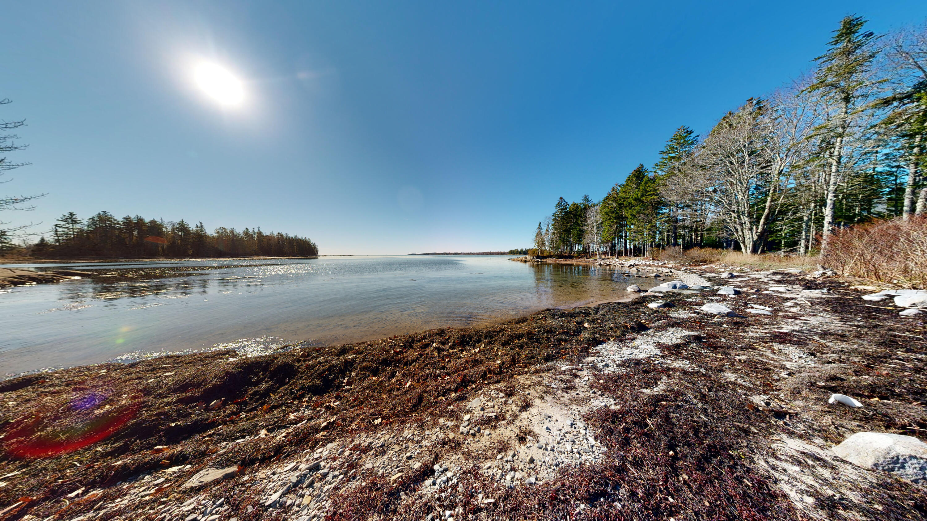 83 Weir Point Road St. George, ME 04859 - Photo 36 of 74 18-Weir-Point-Road-11102022_120203